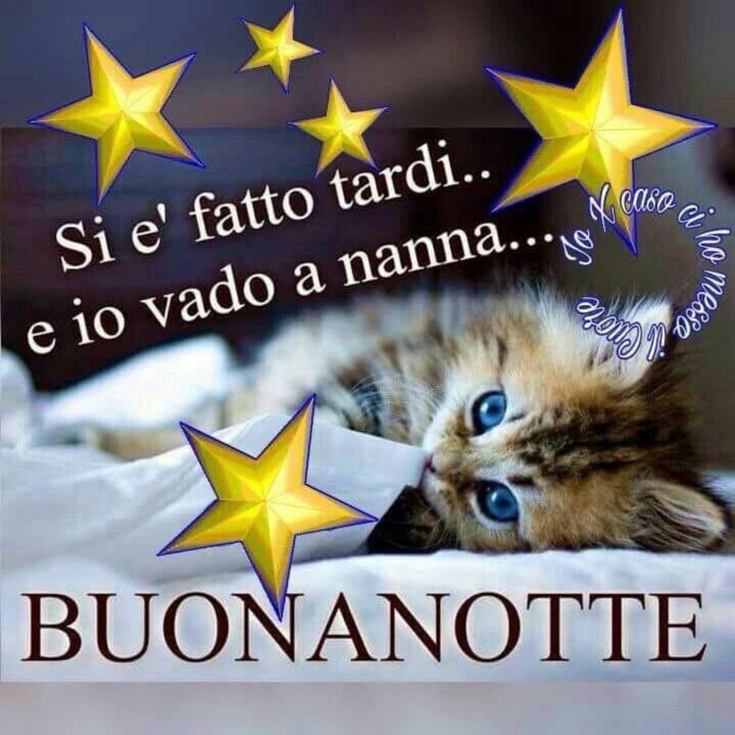 Si è fatto tardi ed io vado a nanna... Buonanotte