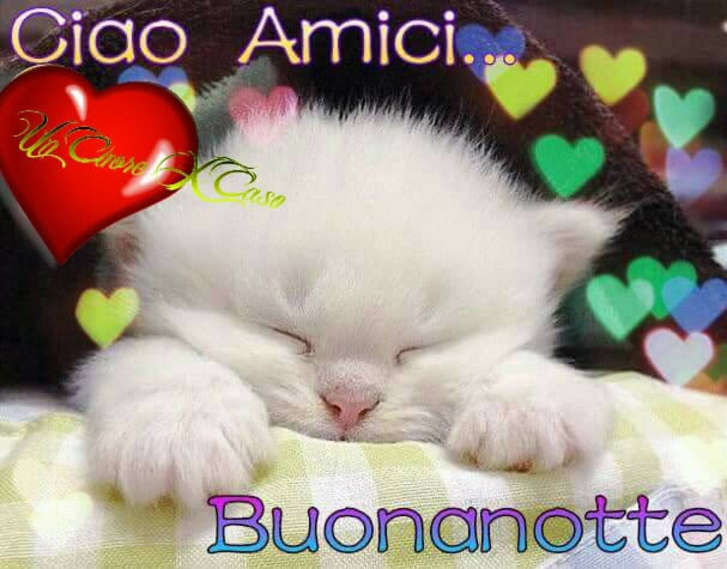 Ciao amici... Buonanotte
