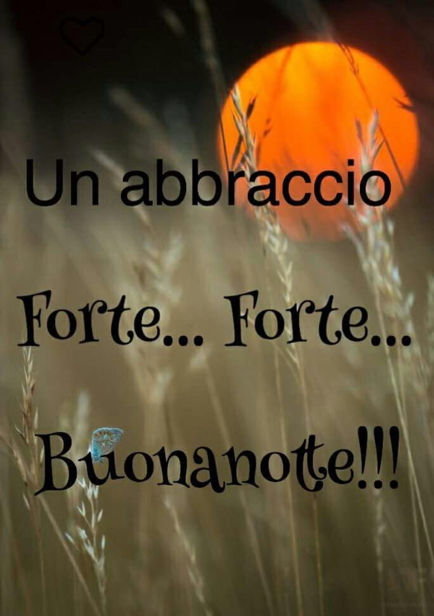 Un abbraccio forte... forte... Buonanotte!!!