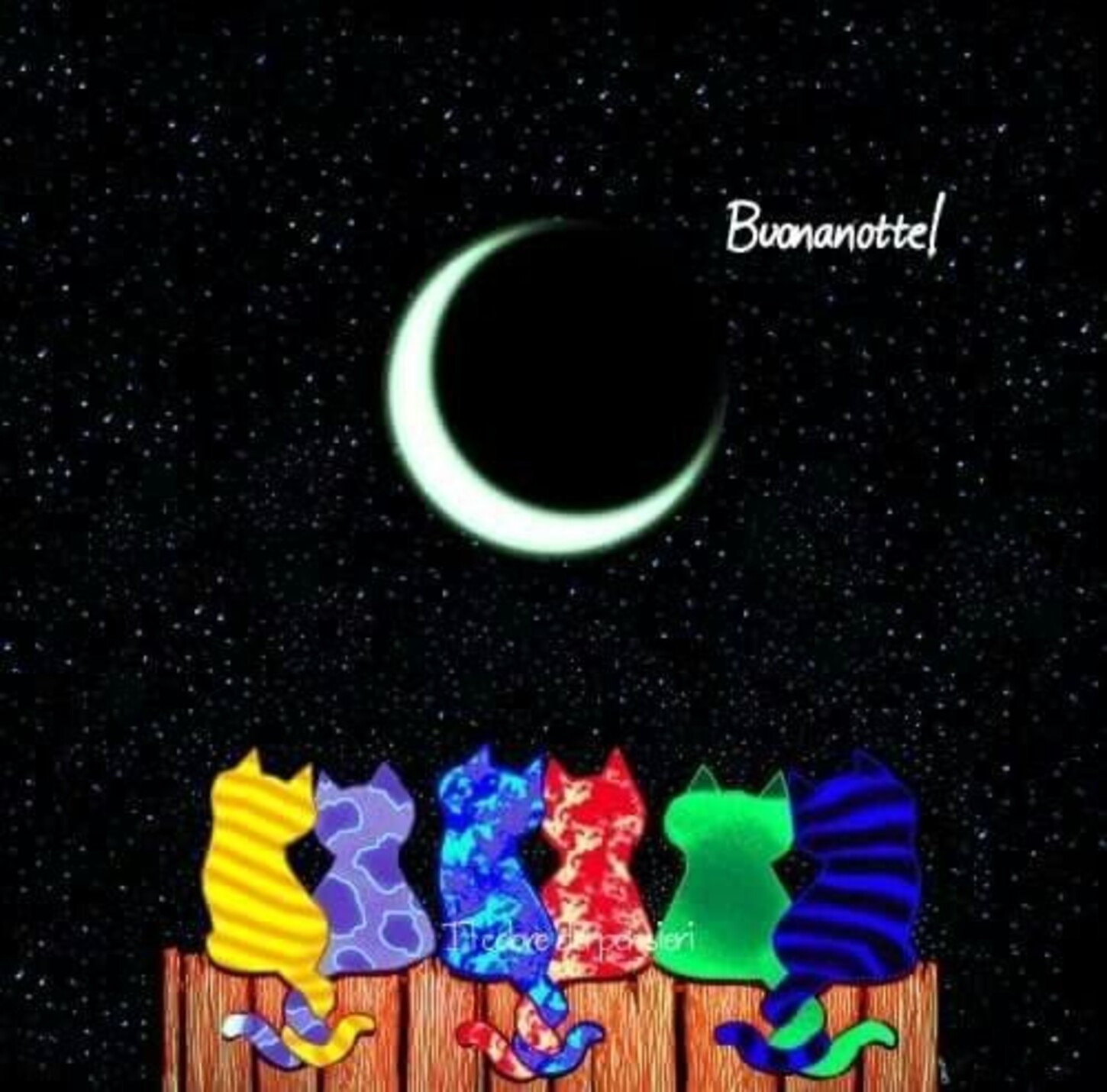Buonanotte! gatti che guardano la luna