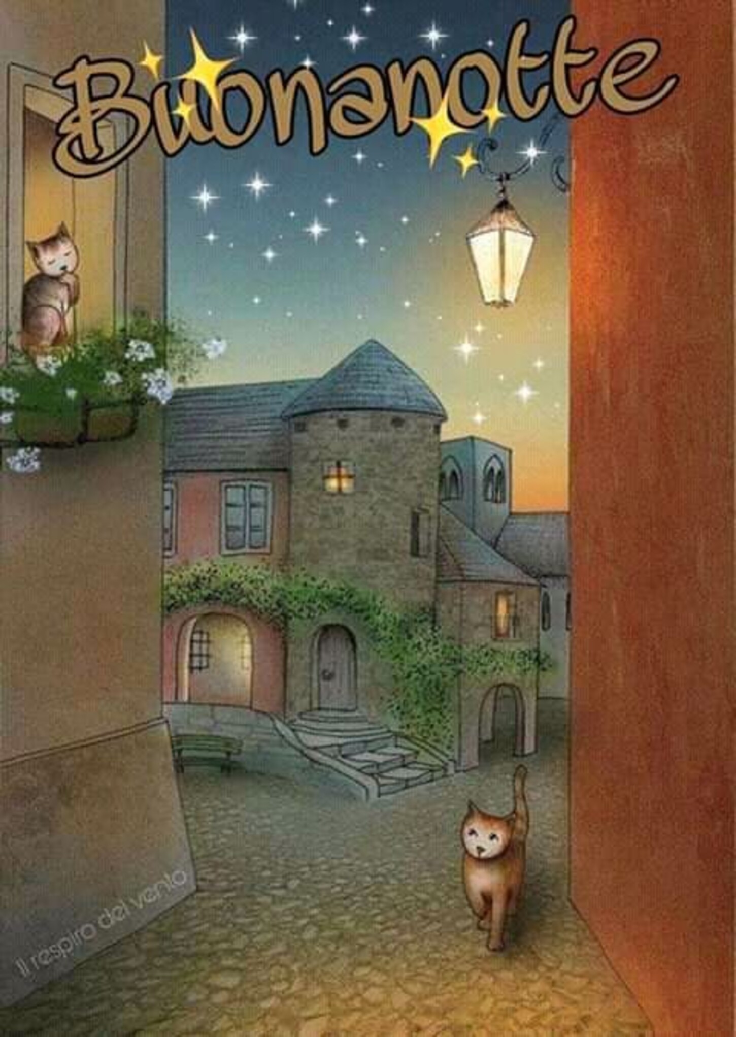 Belle immagini per Buonanotte