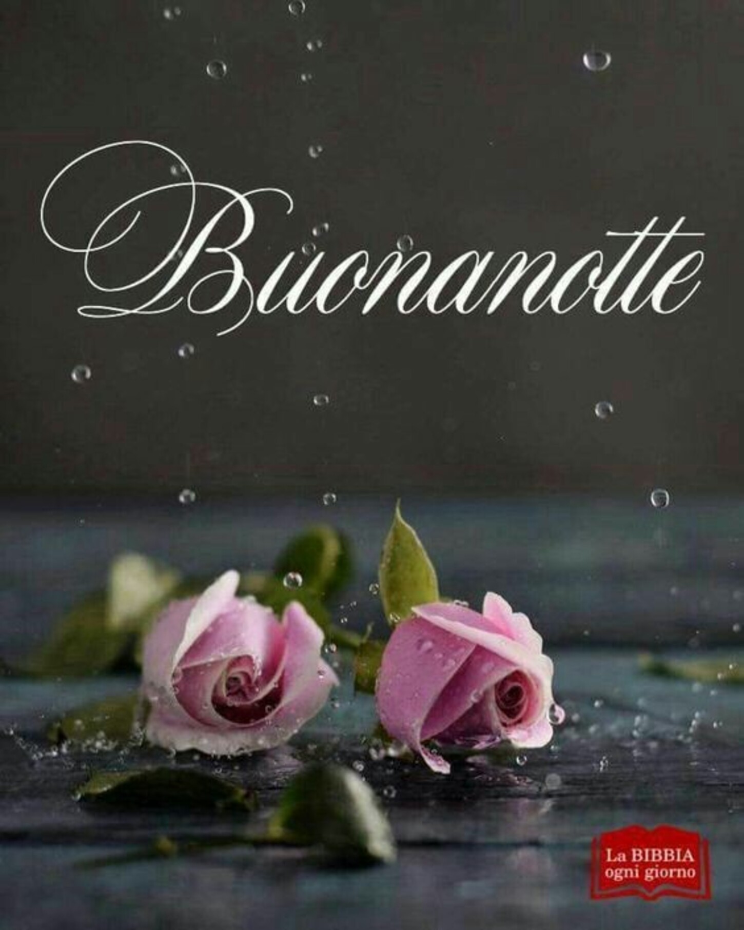 Buonanotte