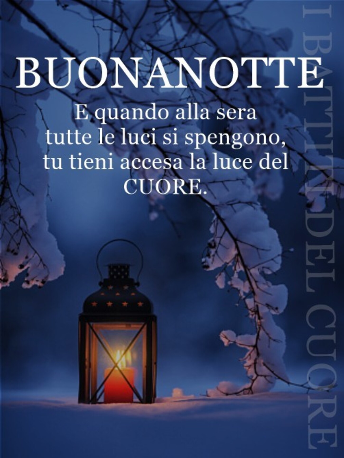 Buonanotte E quando la sera tutte le luci si spengono, tu tieni accesa quella del cuore.
