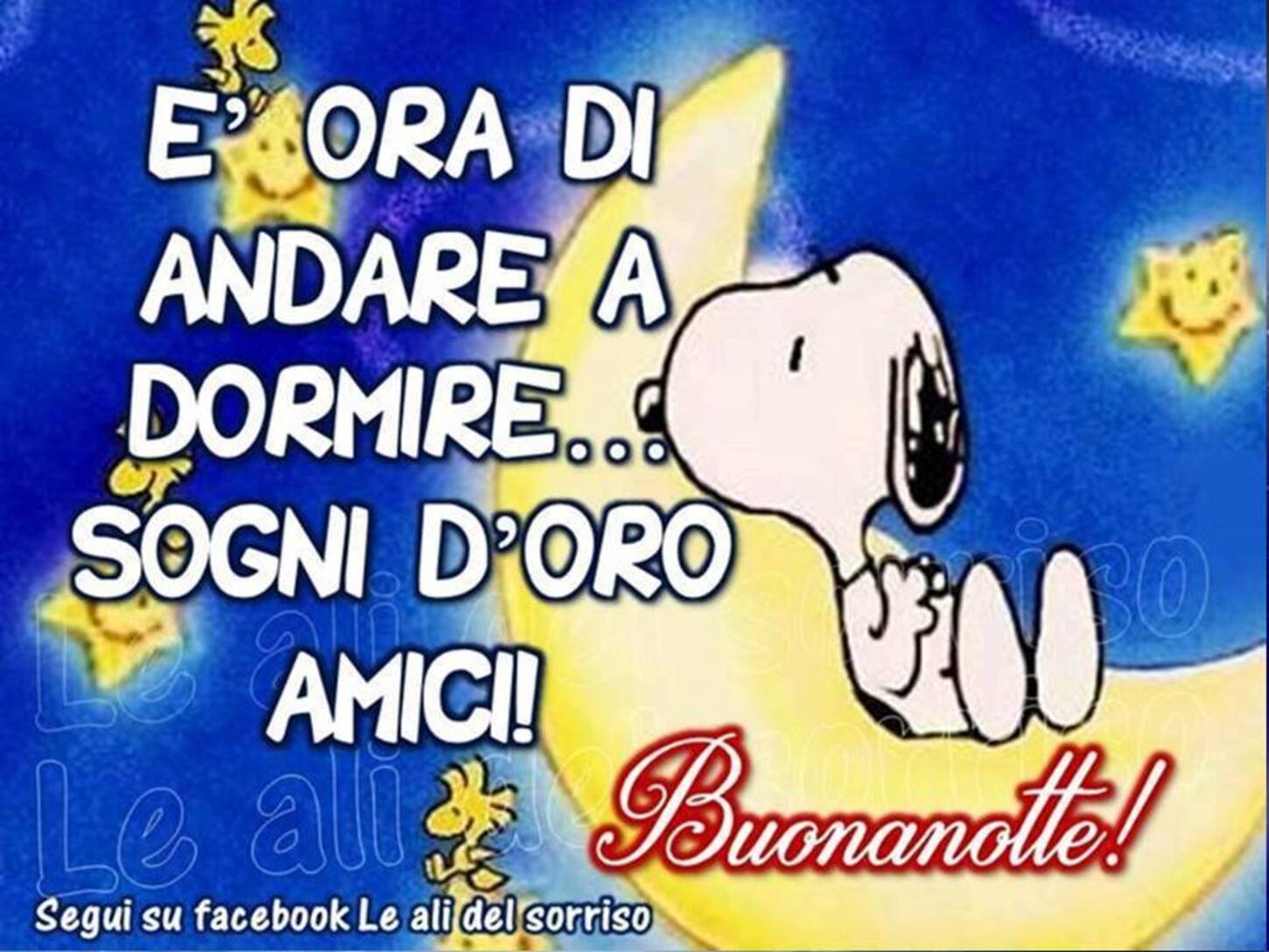 E' ora di andare a dormire, Sogni d'Oro amici! Buonanotte Snoopy