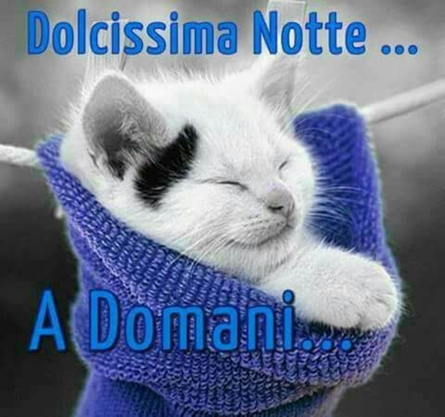 Dolcissima notte... a domani...