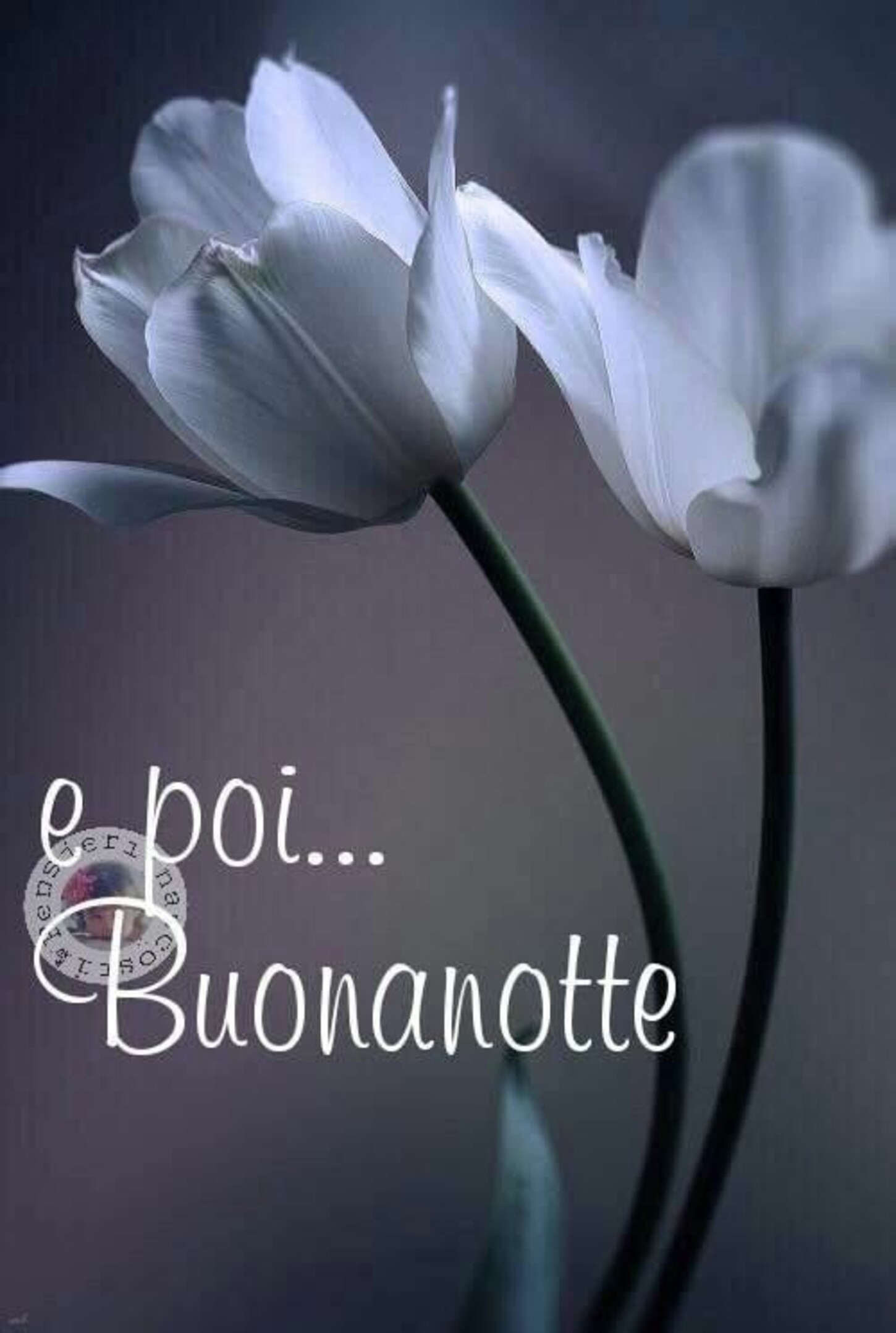 E poi... Buonanotte