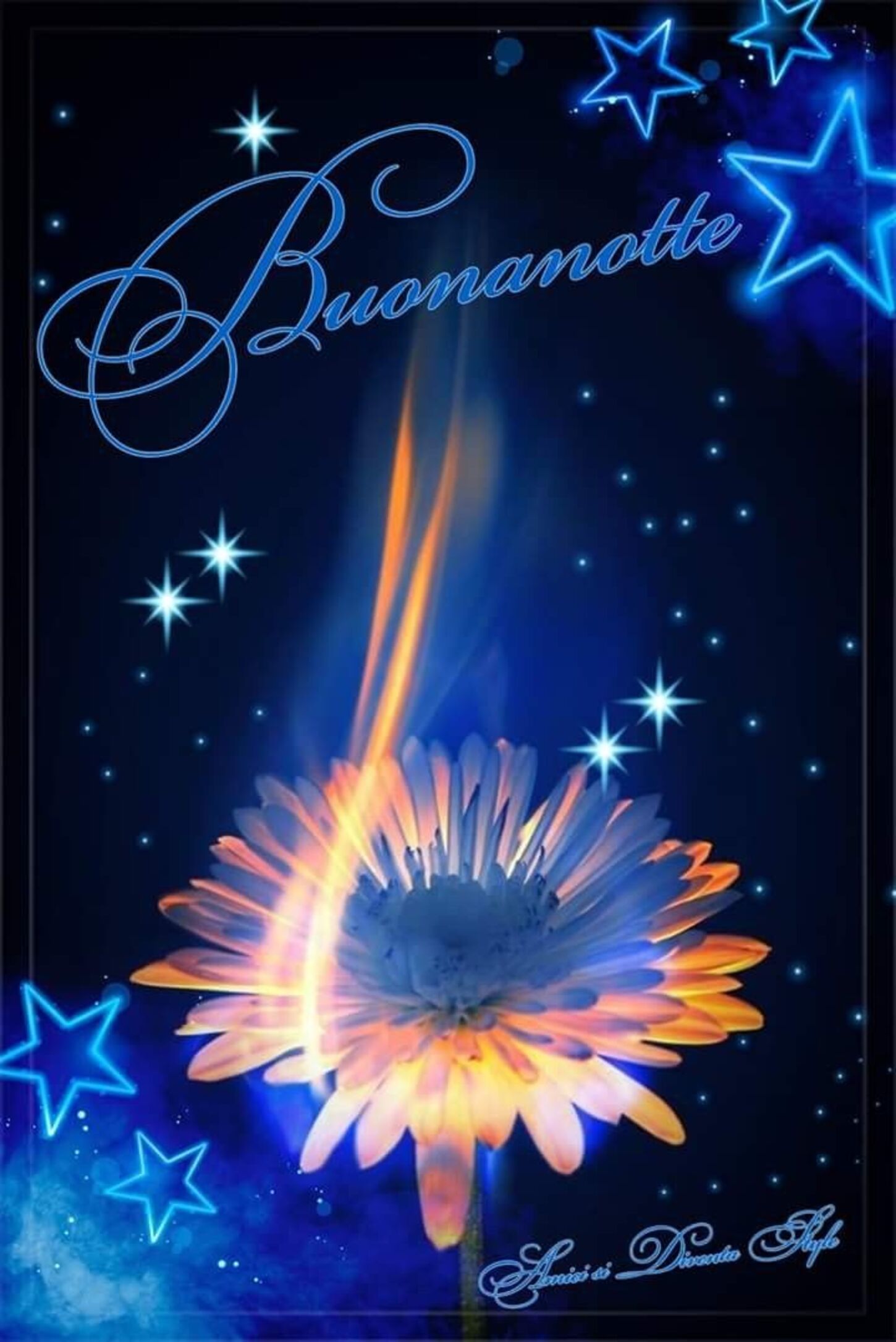 Buonanotte