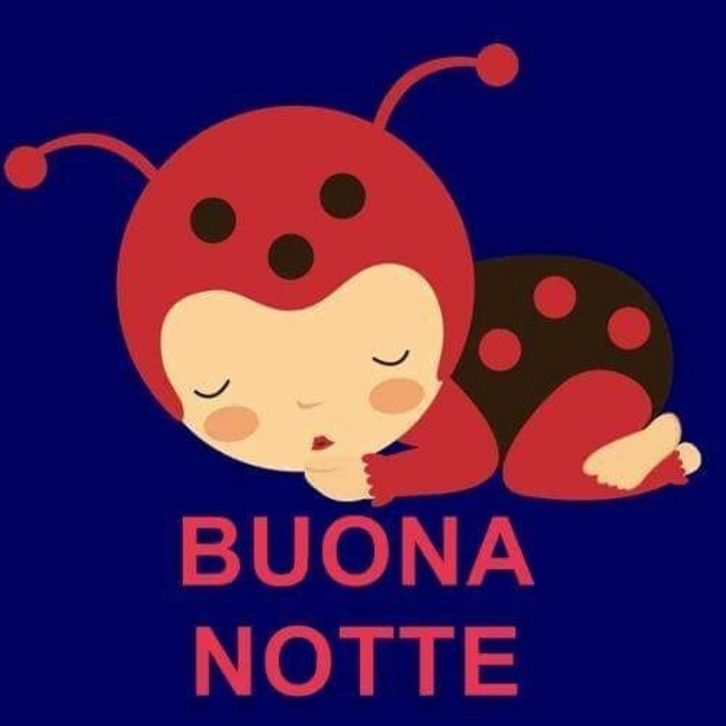 BUONA NOTTE