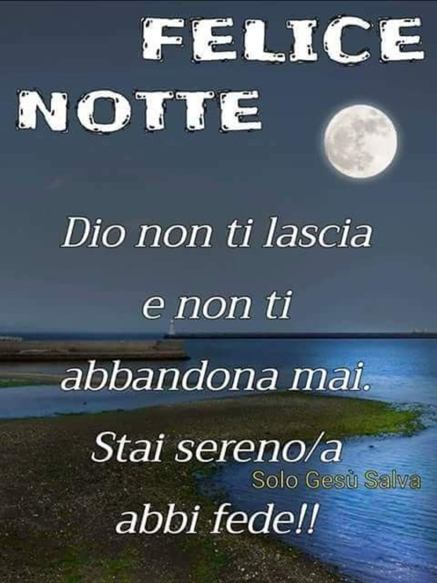 FELICE NOTTE Dio non ti lascia e non ti abbandona mai. Stai sereno/a e abbi fede!!