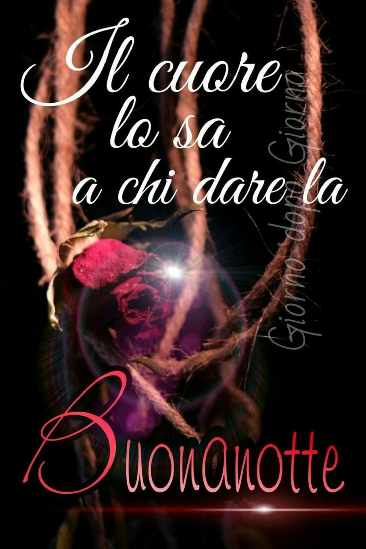 Il cuore lo sa a chi dare la Buonanotte