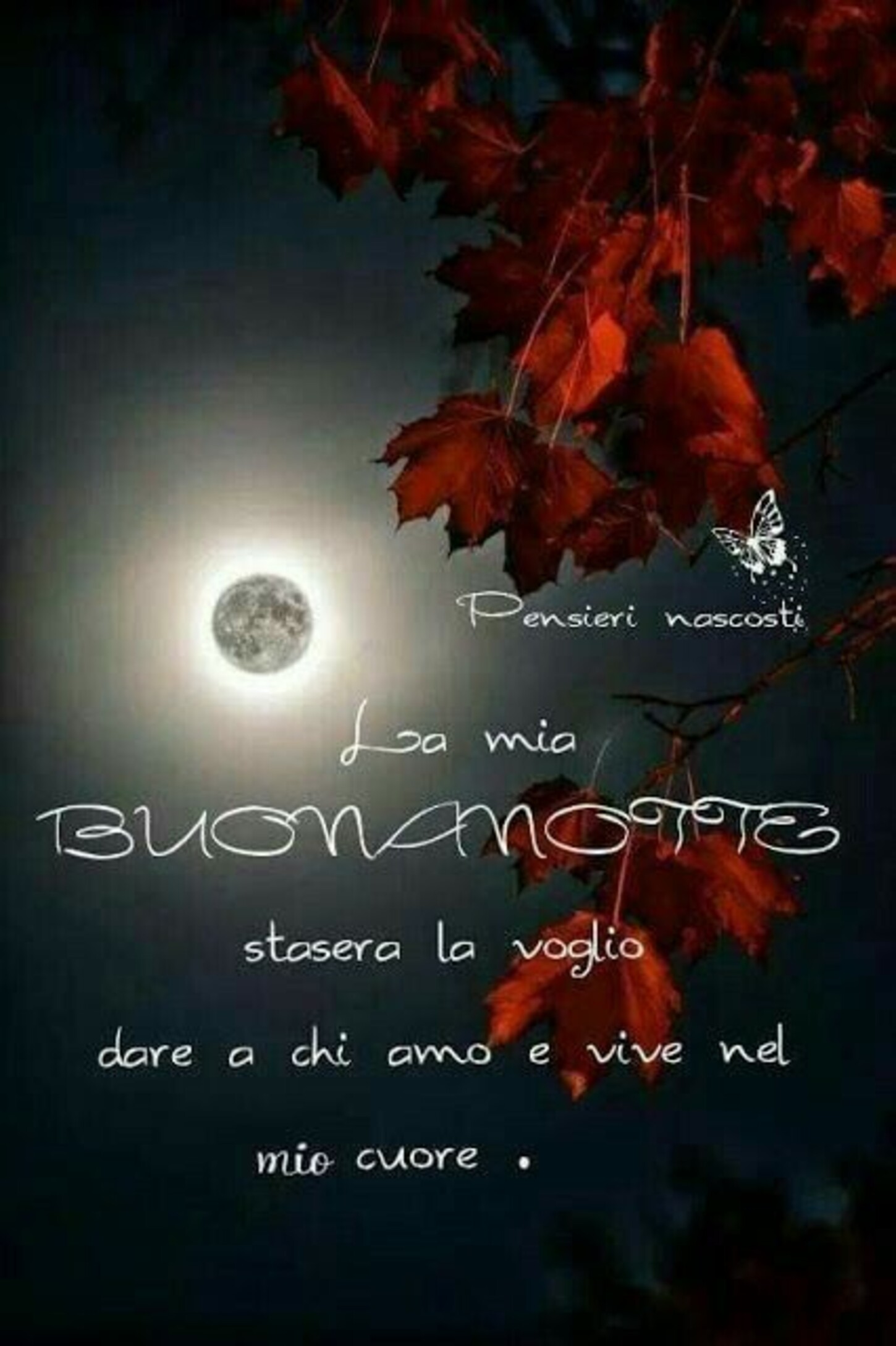 La mia Buonanotte la voglio dare stasera a chi amo e vive nel mio cuore.