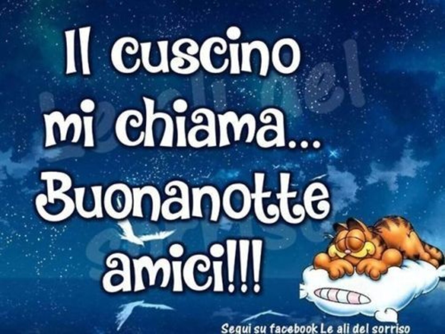 Buonanotte da ridere