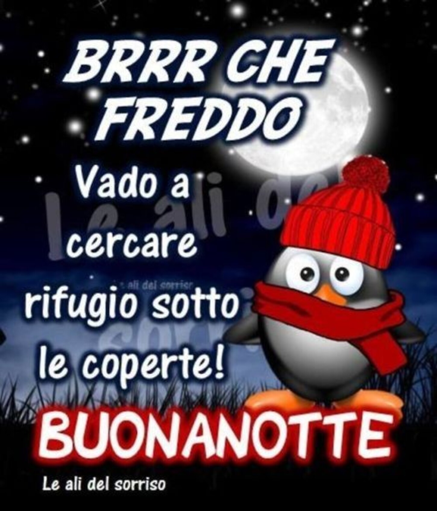 BRRR CHE FREDDO Vado a cercare rifugio sotto le coperte! BUONANOTTE