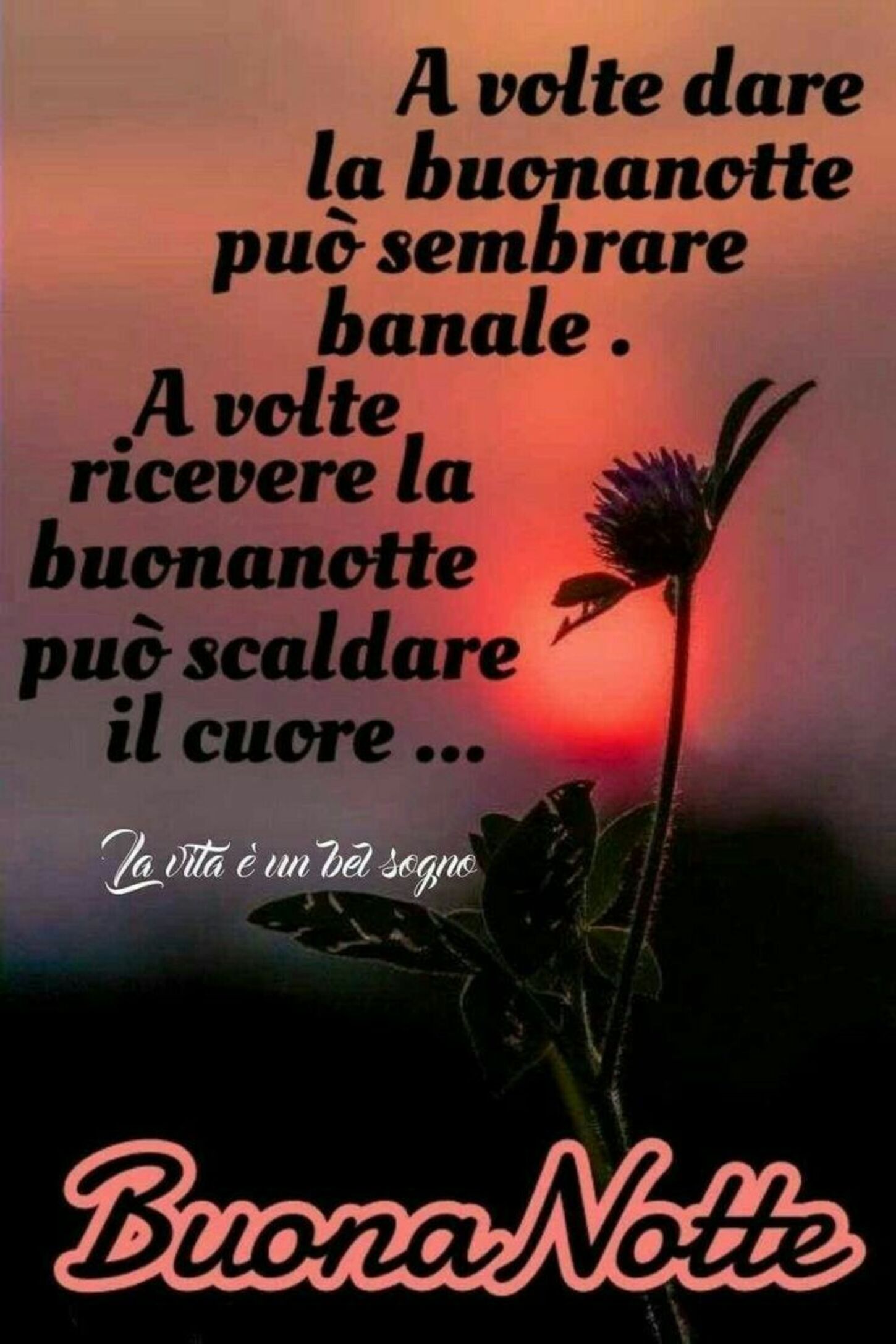 A volte dare la Buonanotte può sembrare banale. A volte ricevere la Buonanotte può scaldare il cuore... Buonanotte