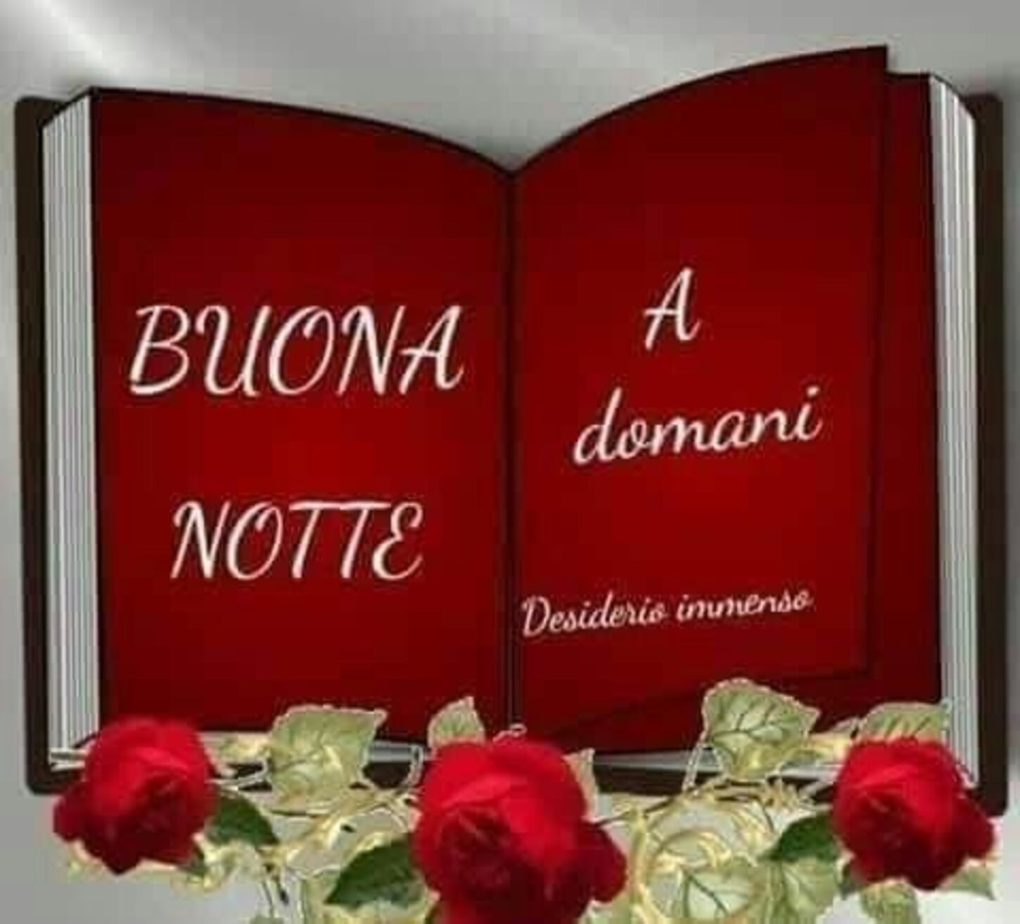 BUONA NOTTE A Domani