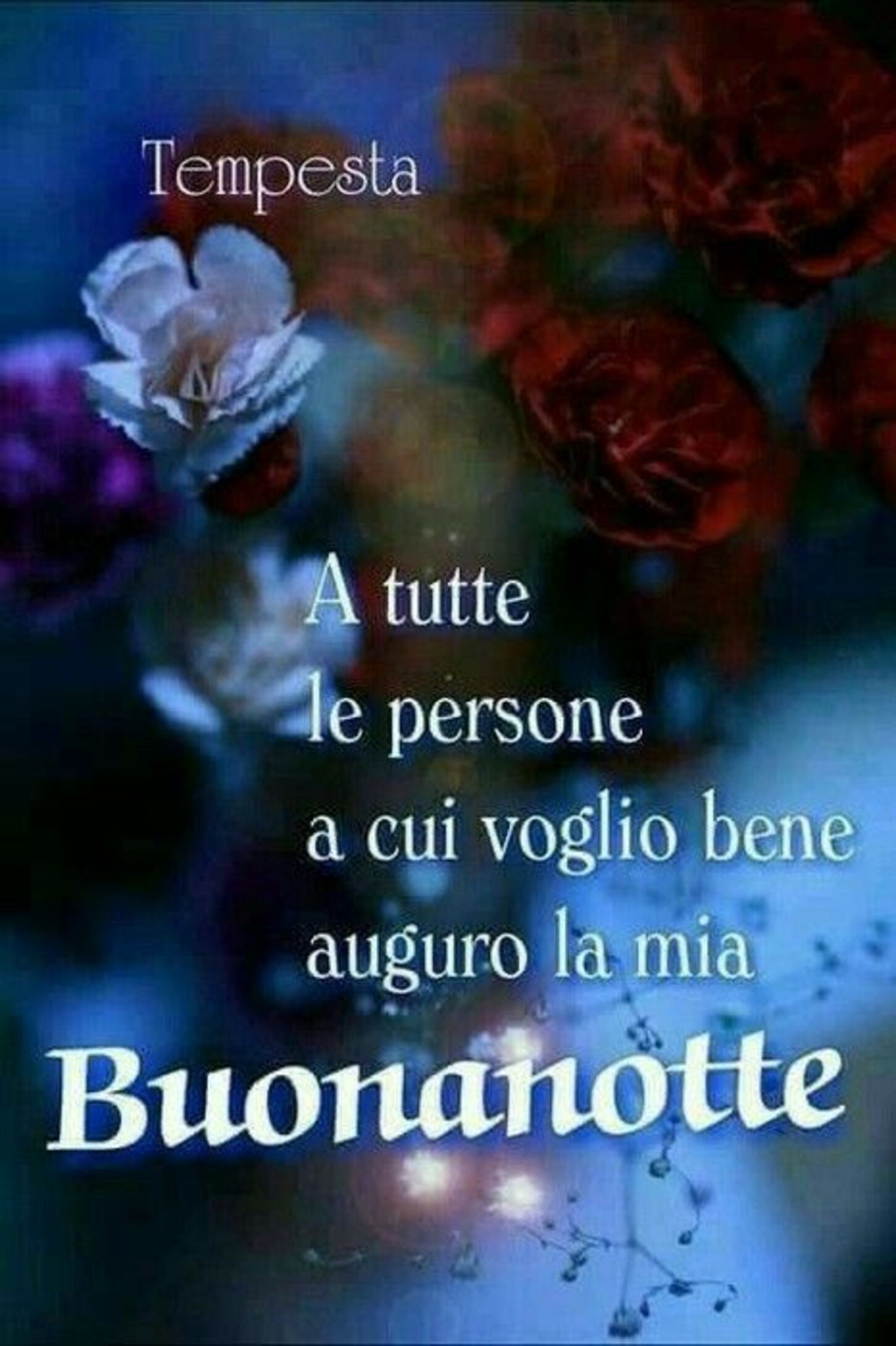 A tutte le persone a cui voglio bene auguro la mia Buonanotte