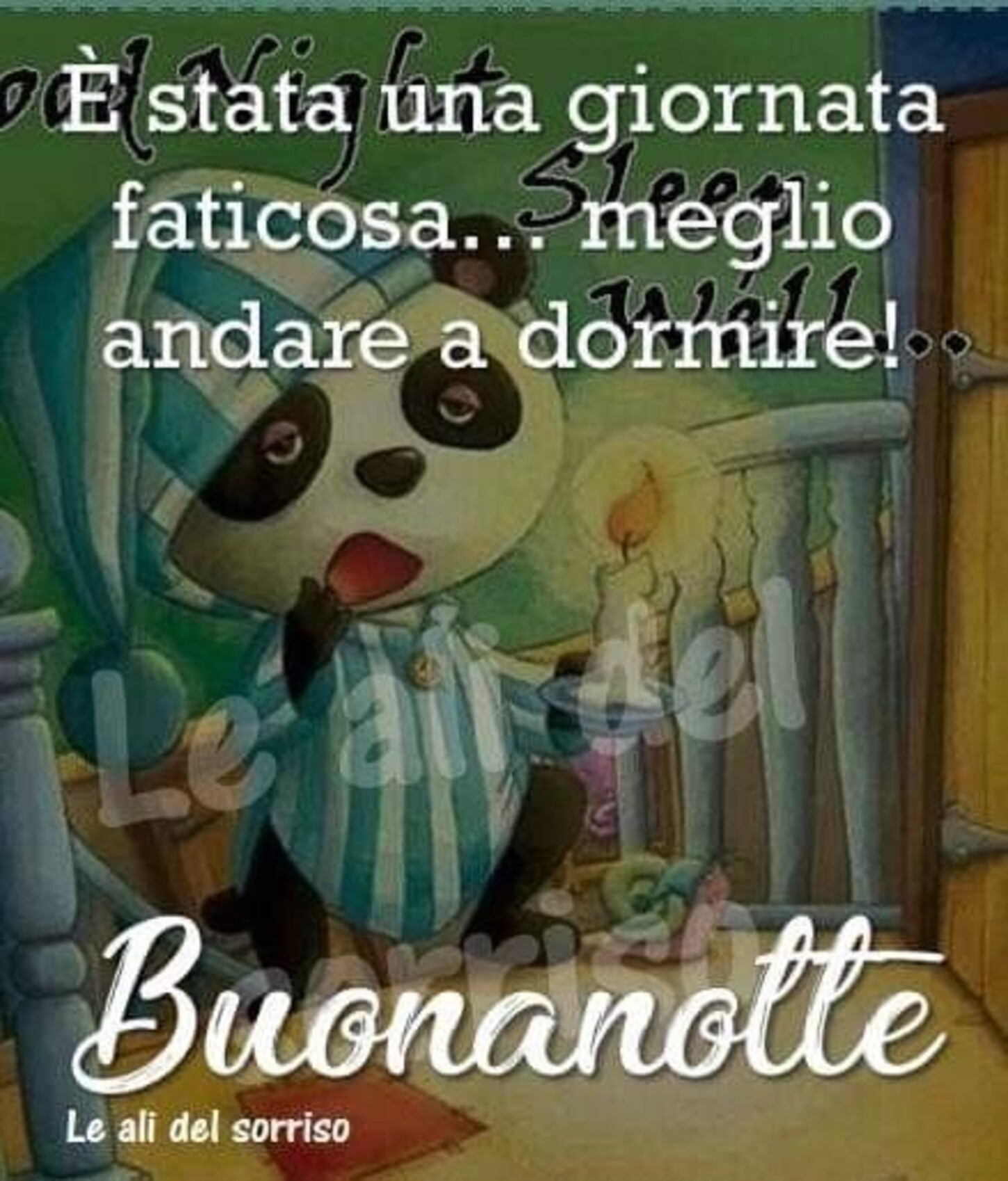 E' stata una giornata faticosa... meglio andare a dormire! Buonanotte