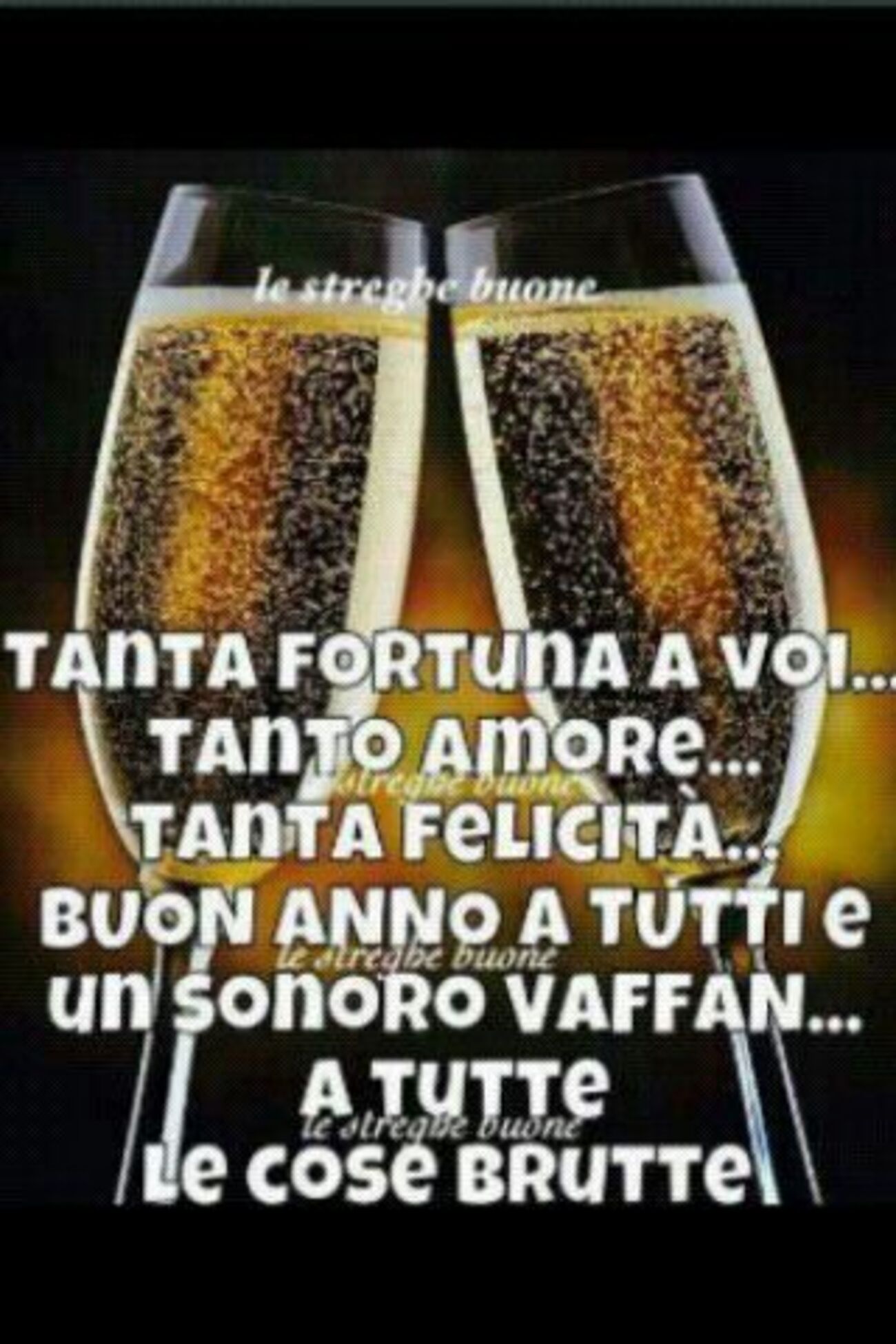 Tanta fortuna a voi...tanto amore...tanta felicità...Buon anno a tutti e un sonoro vaffan...a tutte le cose brutte