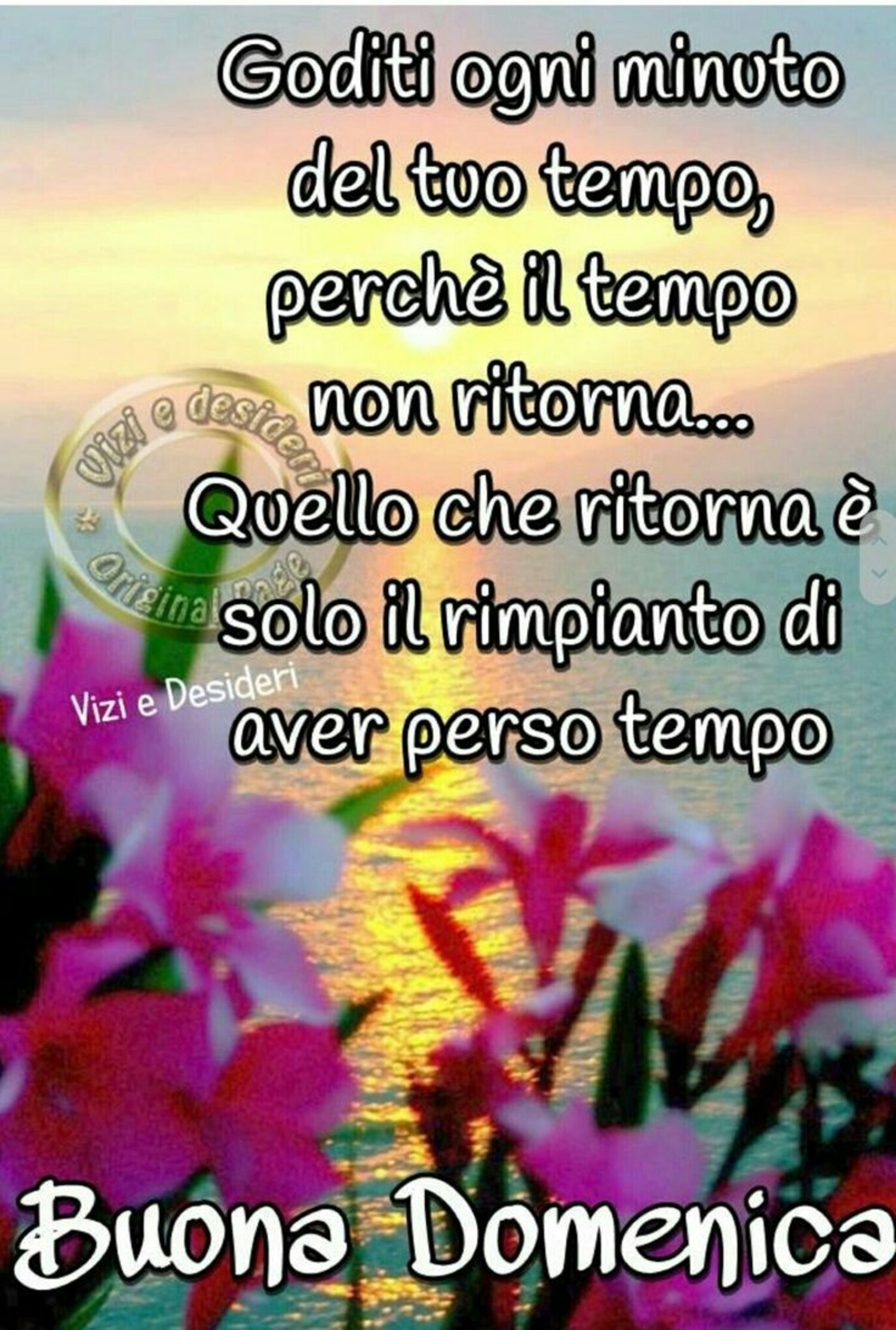 Goditi ogni minuto del tuo tempo, perchè il tempo non ritorna... Quello che ritorna è solo il rimpianto di aver perso tempo. Buona Domenica