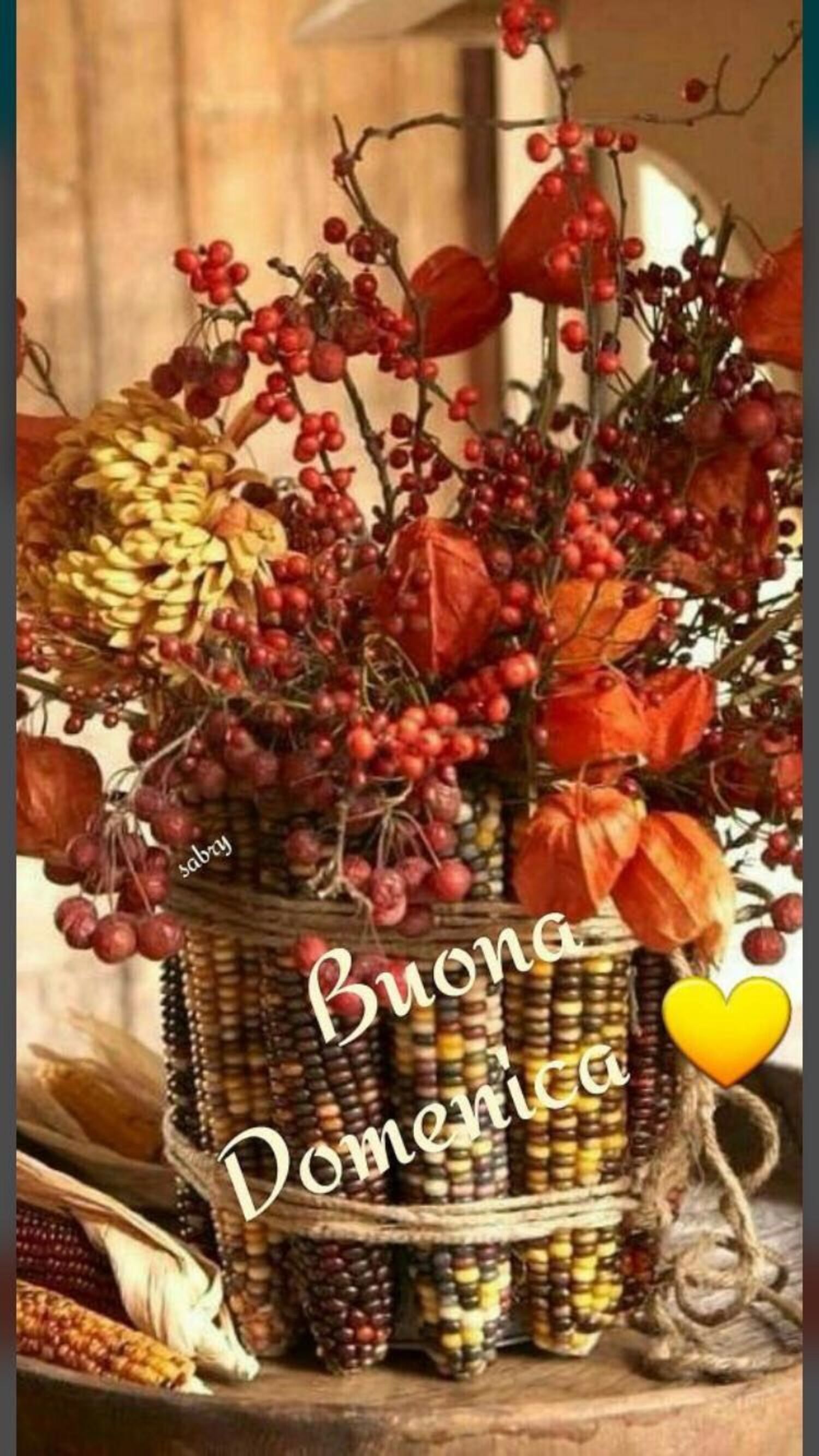 Buona Domenica