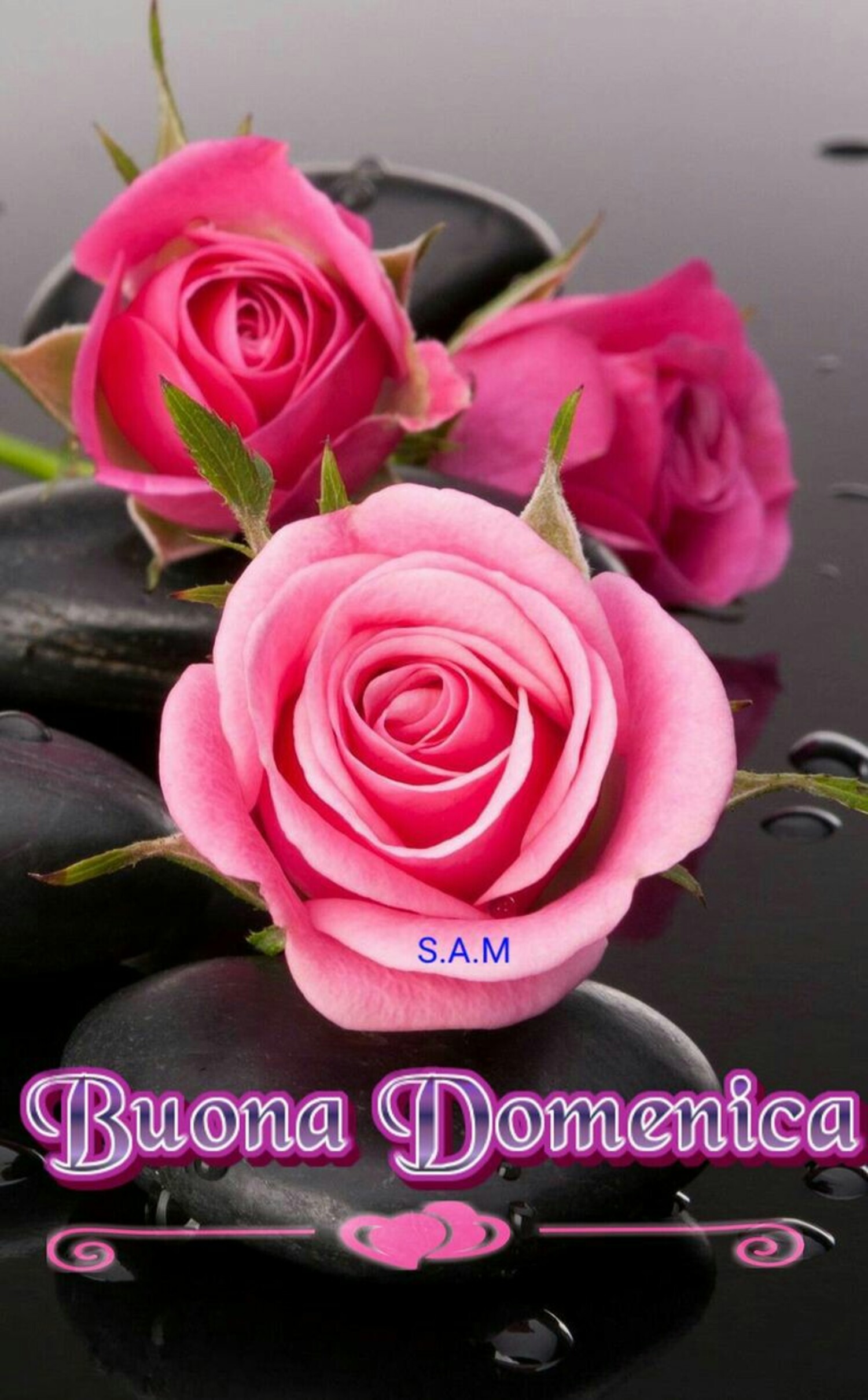 Buona Domenica