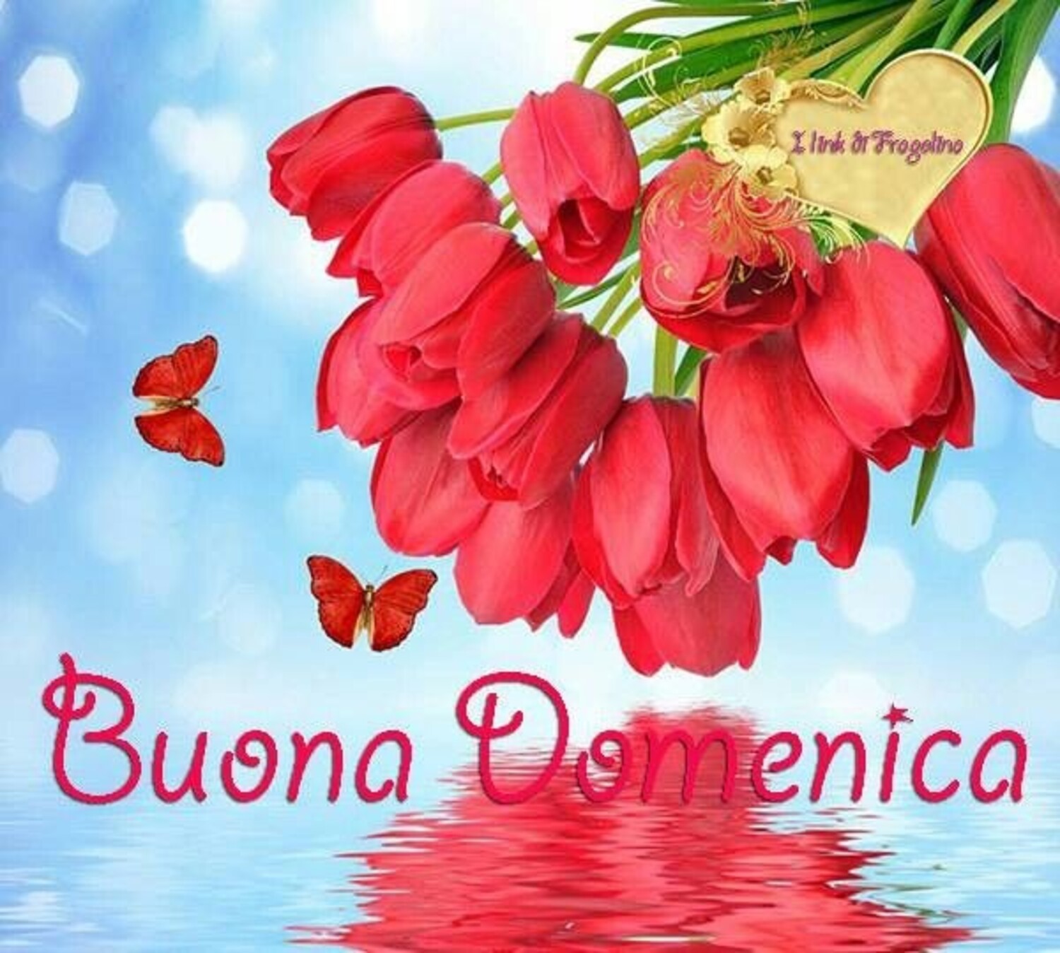 Buona Domenica