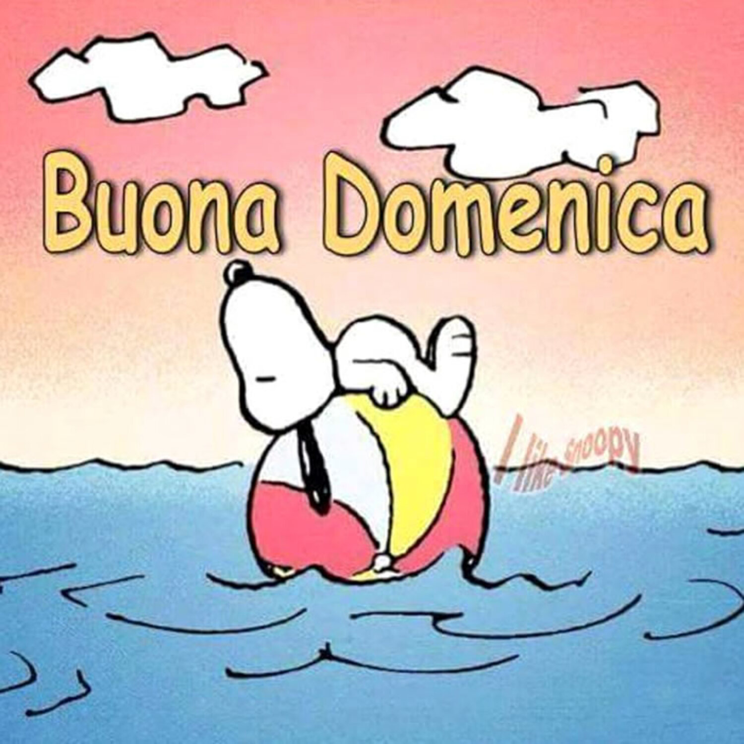 Buona Domenica
