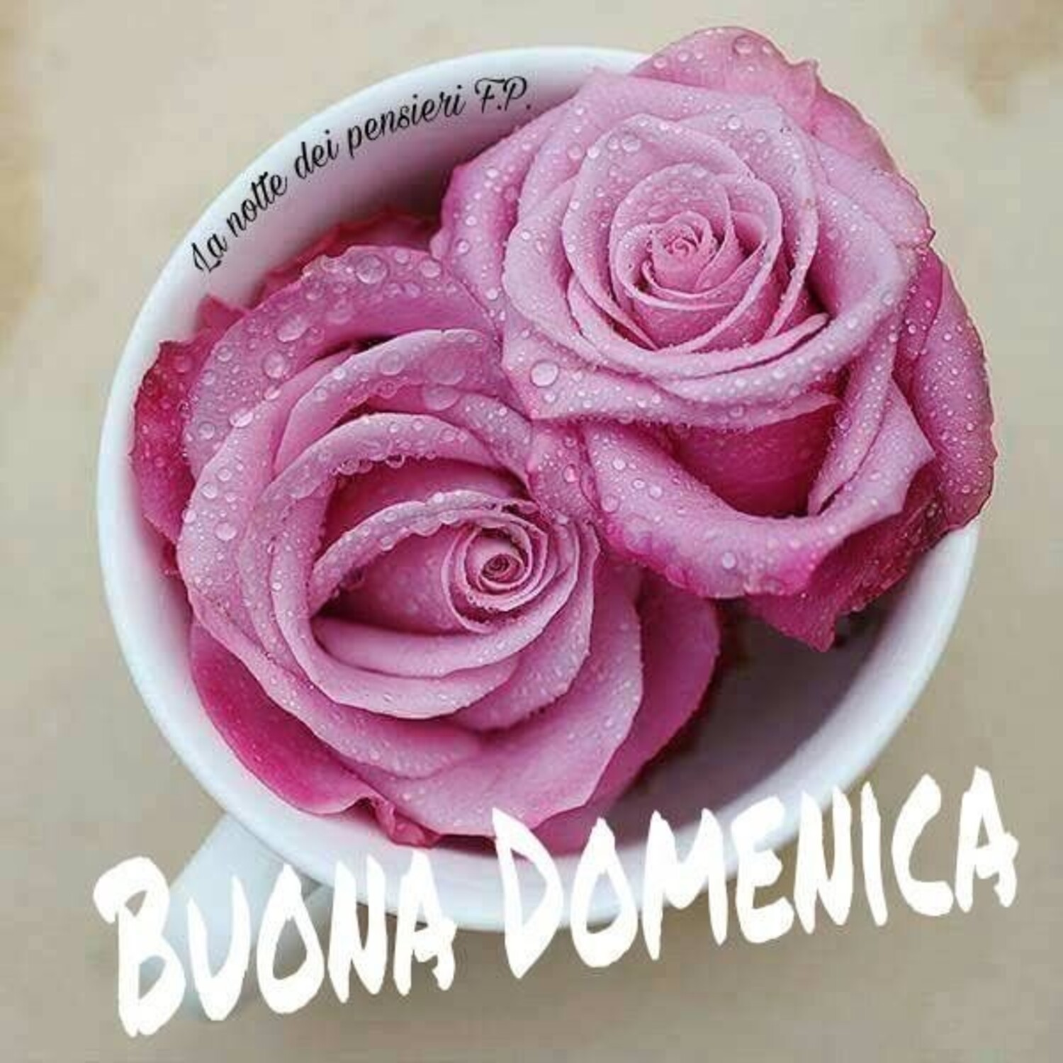 Buona Domenica