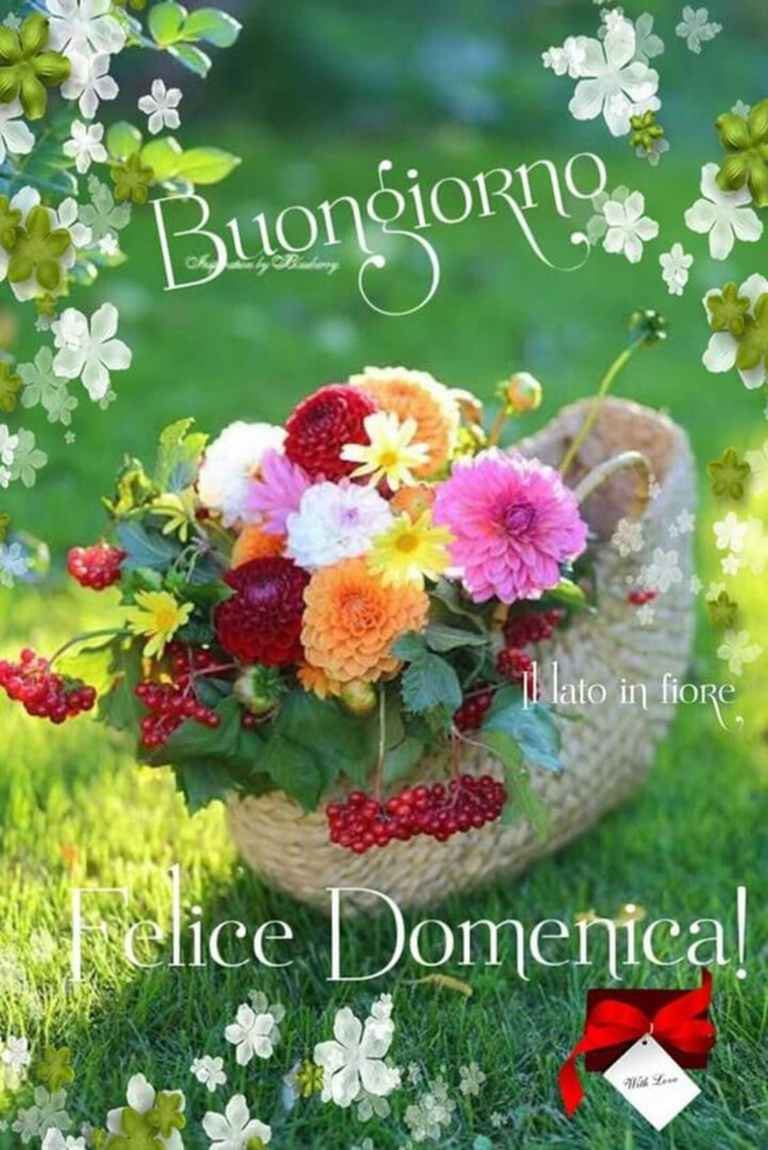 Buongiorno Felice Domenica