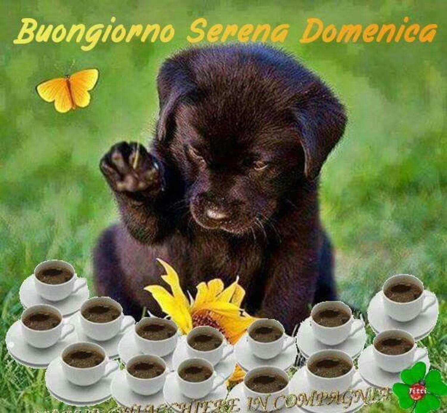 Buongiorno serena domenica