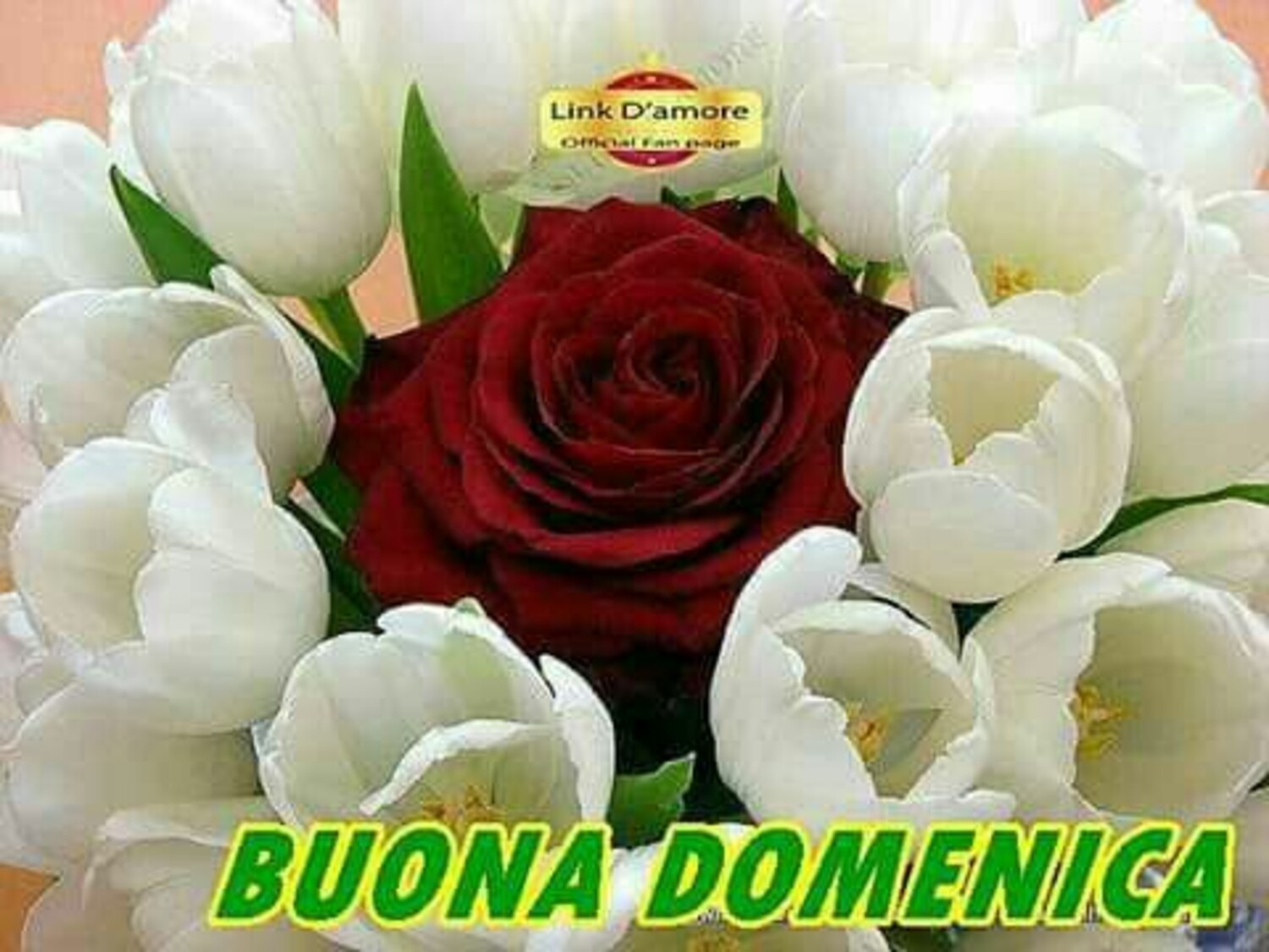 Buona Domenica