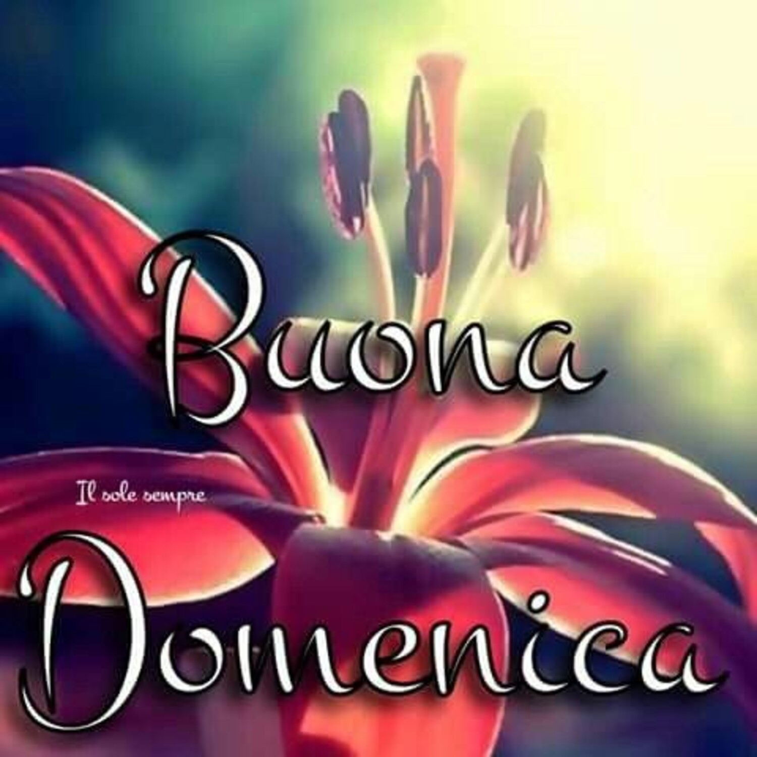 Buona Domenica