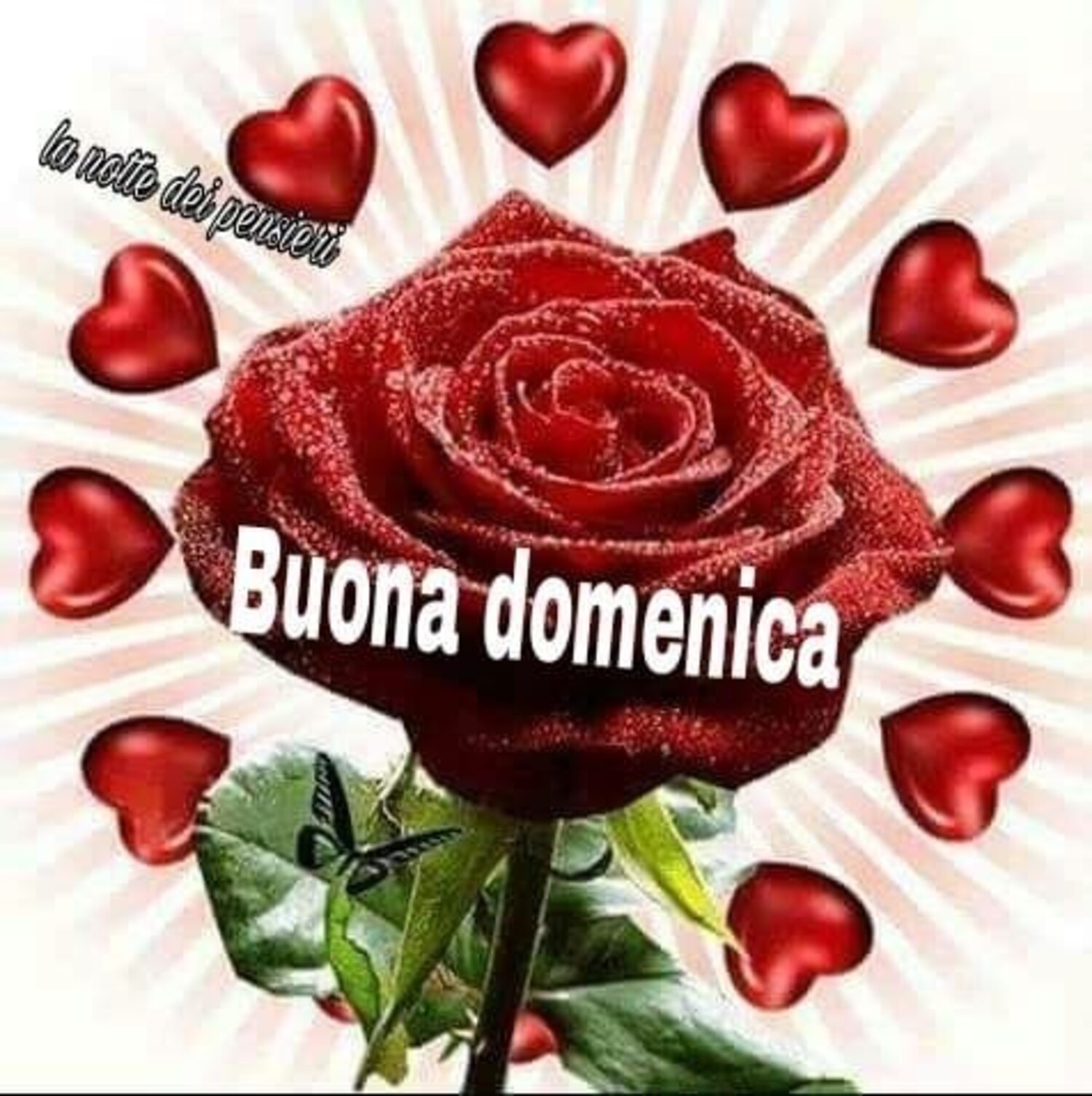 Buona Domenica