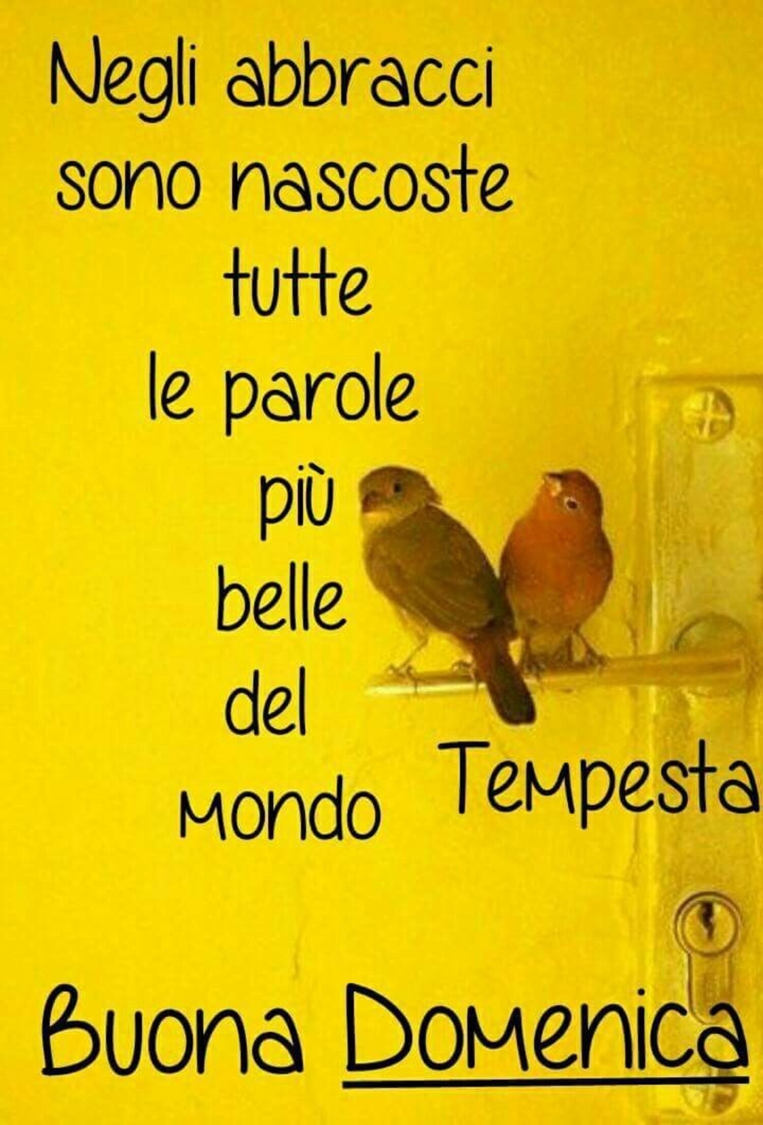Negli abbracci sono nascoste tutte le parole più belle del mondo! Buona Domenica