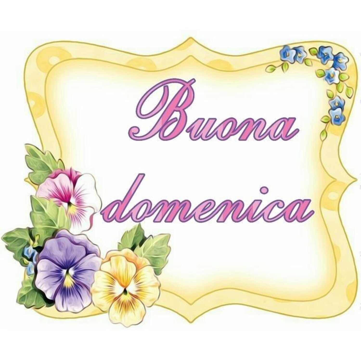 Buona Domenica