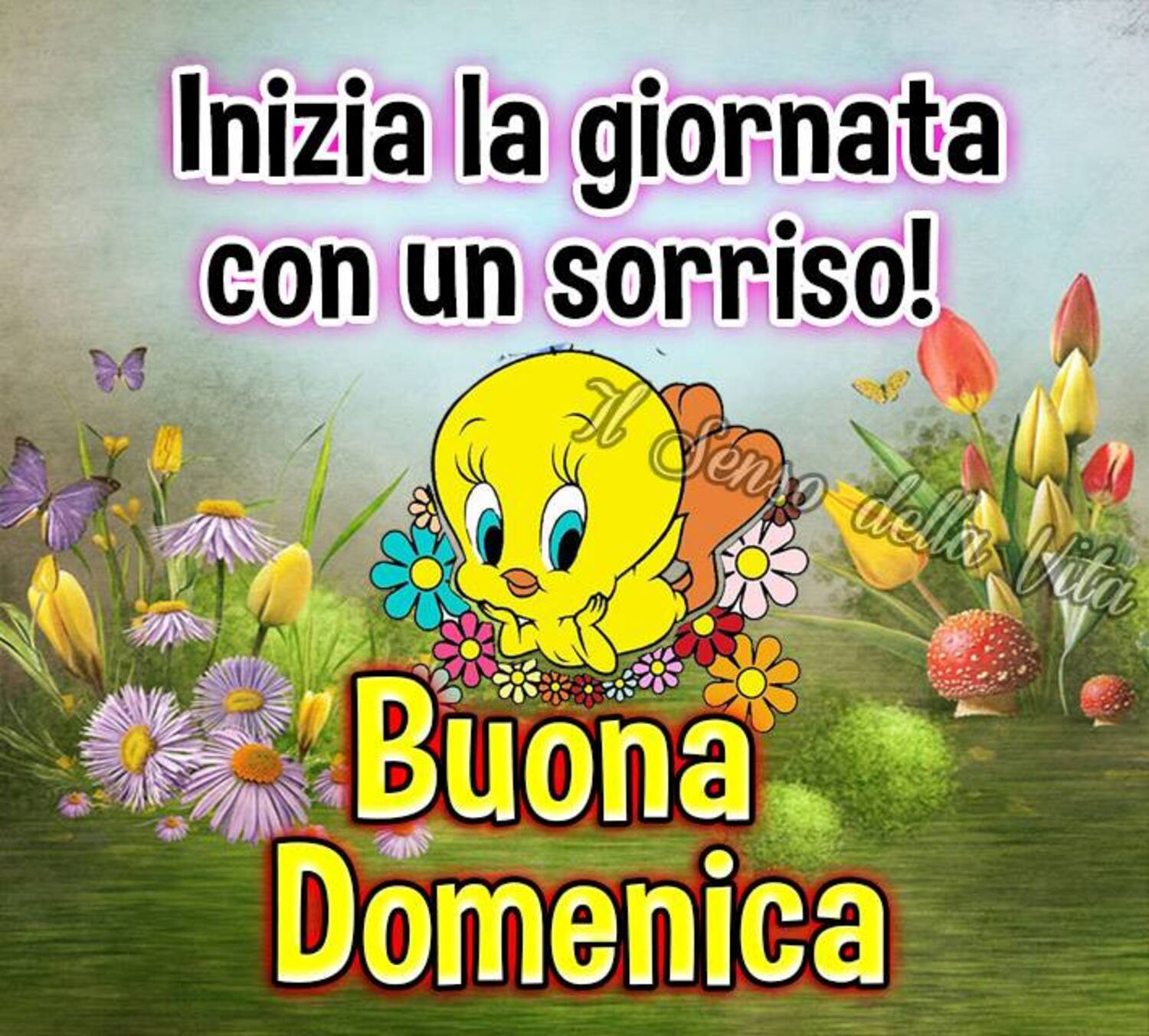 Inizia la giornata con un sorriso! Buona Domenica