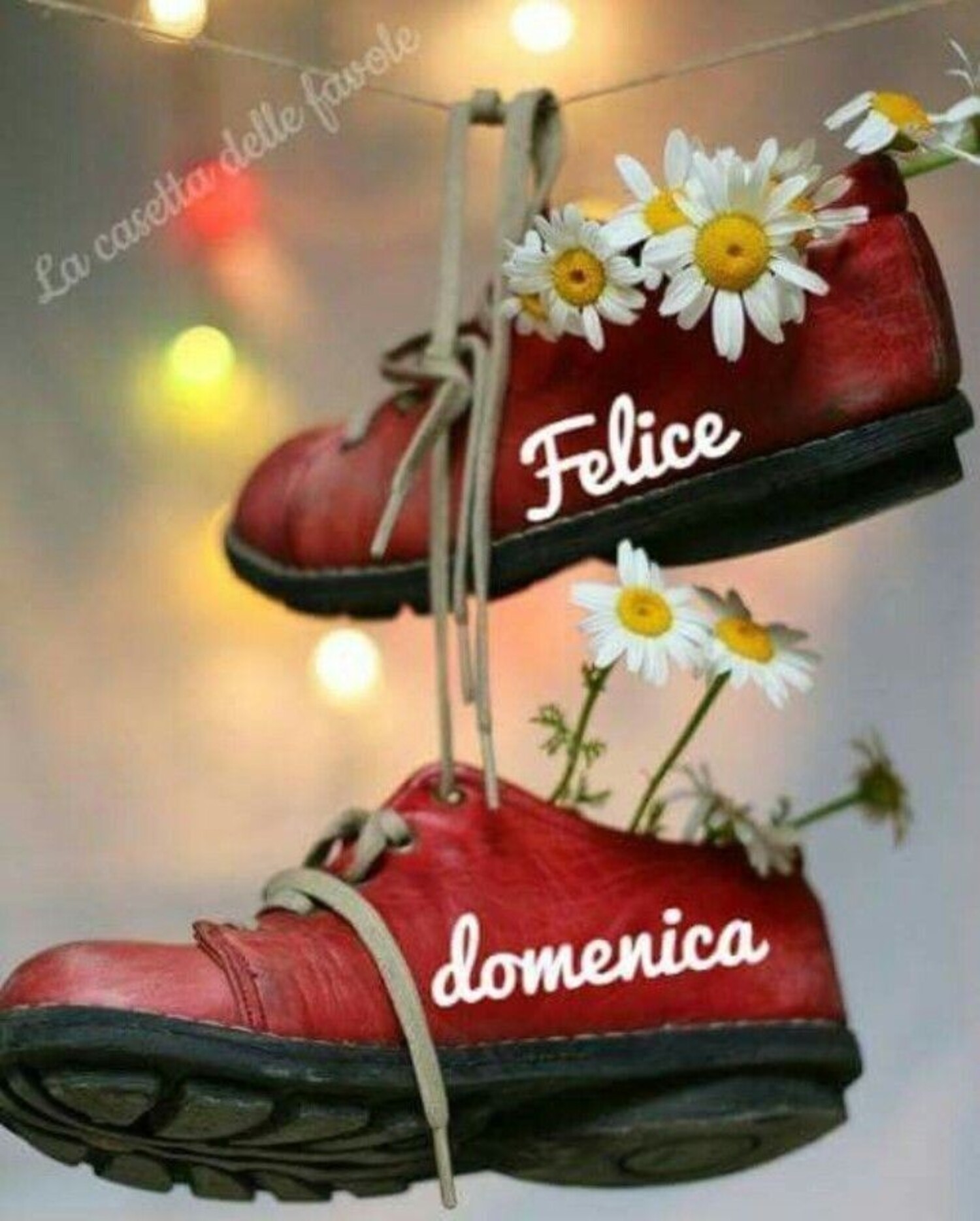 Felice Domenica