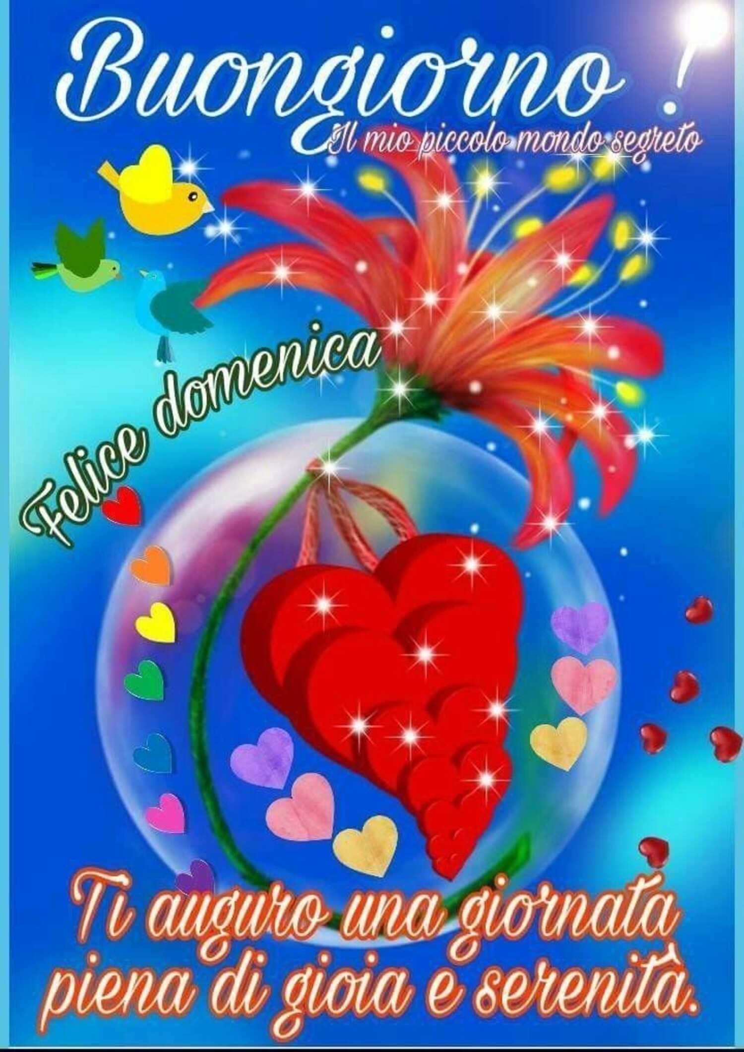 Buongiorno felice domenica! Ti auguro una giornata piena di gioia e serenità