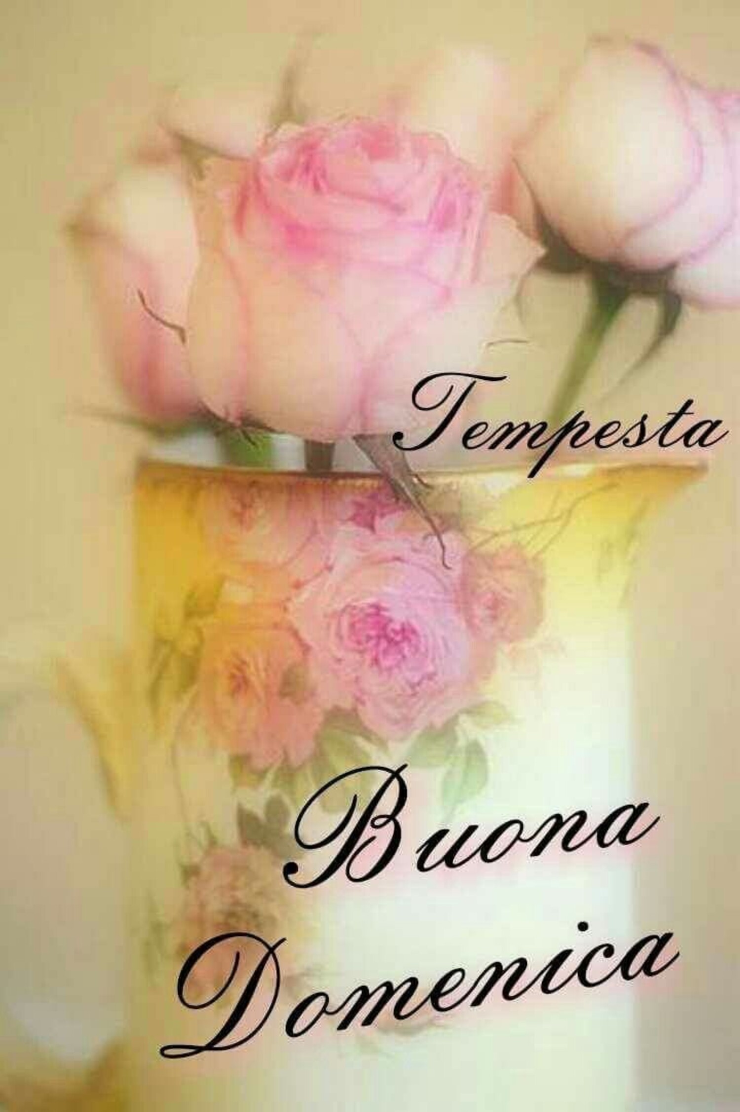 Buona Domenica