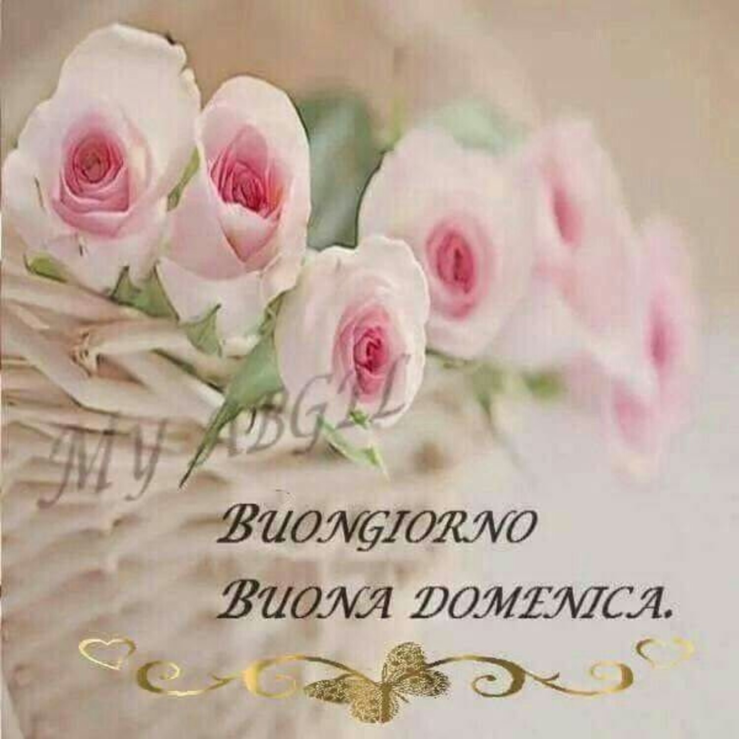 Buongiorno Buona Domenica