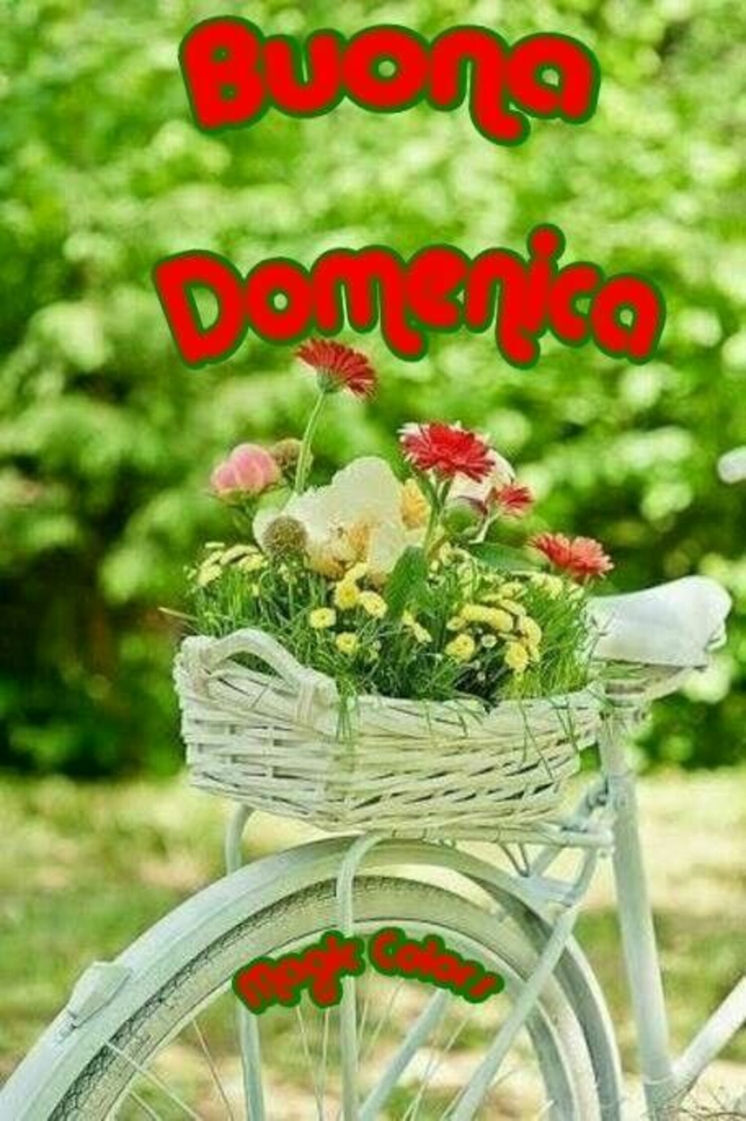 Buona Domenica