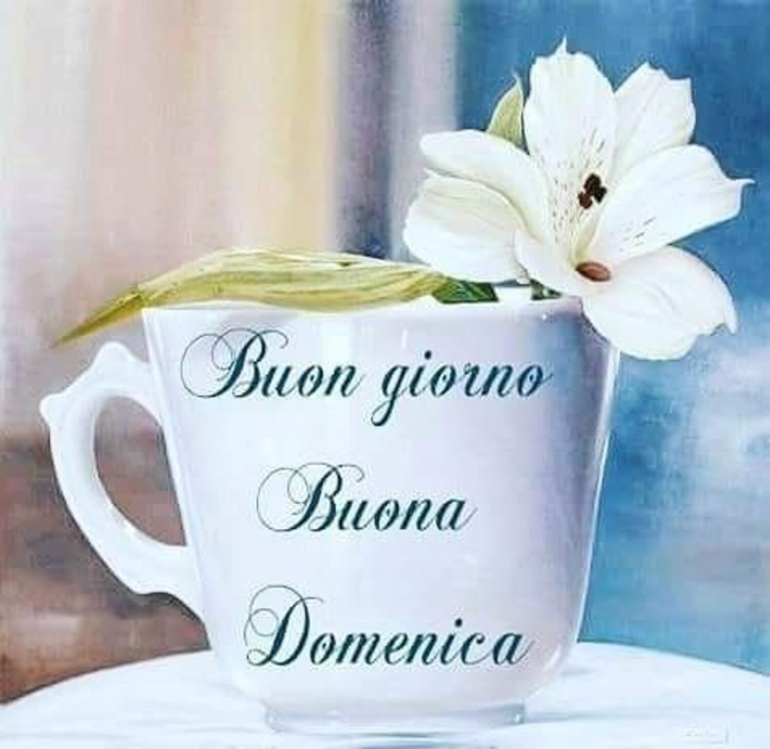 Buongiorno Buona Domenica