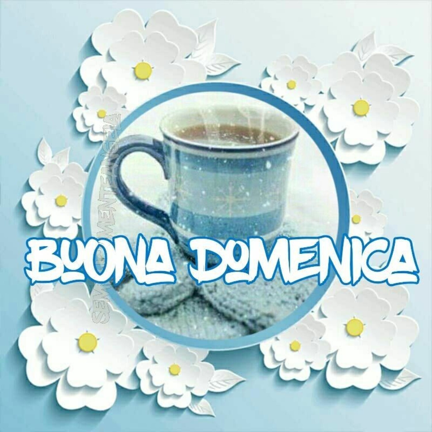 Buona Domenica