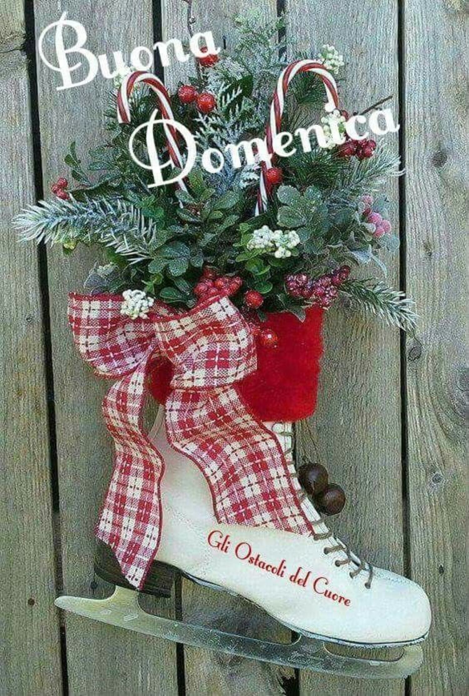 Buona Domenica