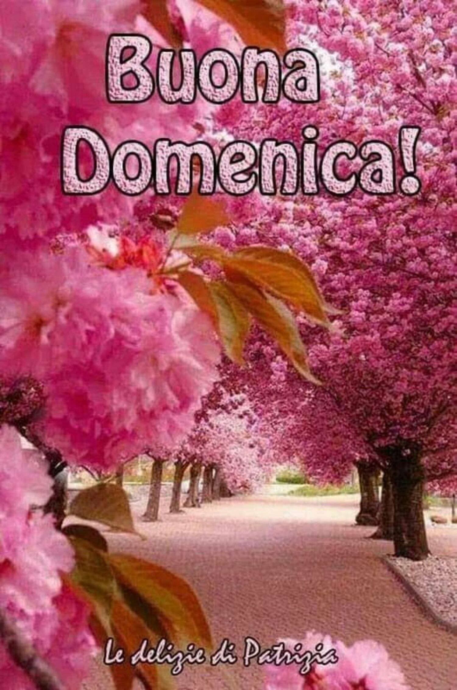 Buona domenica