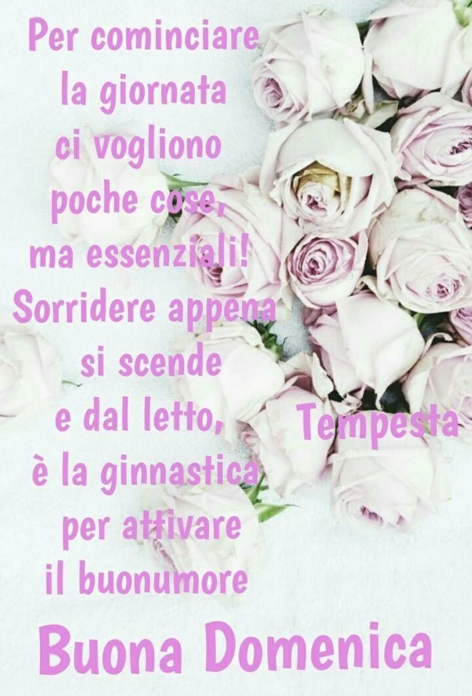 Per cominciare la giornata ci vogliono poche cose ma essenziali! Sorridere appena si scende e dal letto, è la ginnastica per attivare il buonumore...Buona Domenica