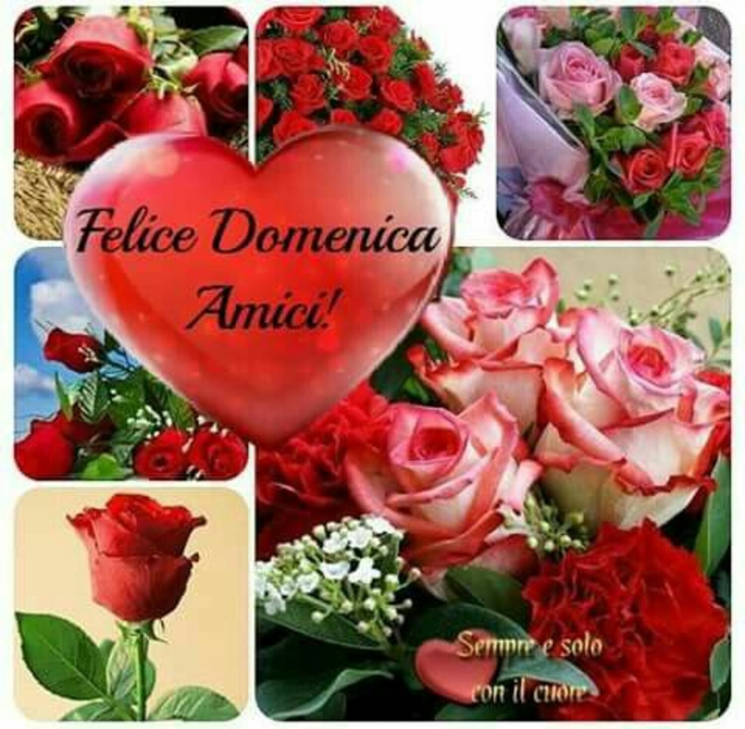 Felice Domenica amici!