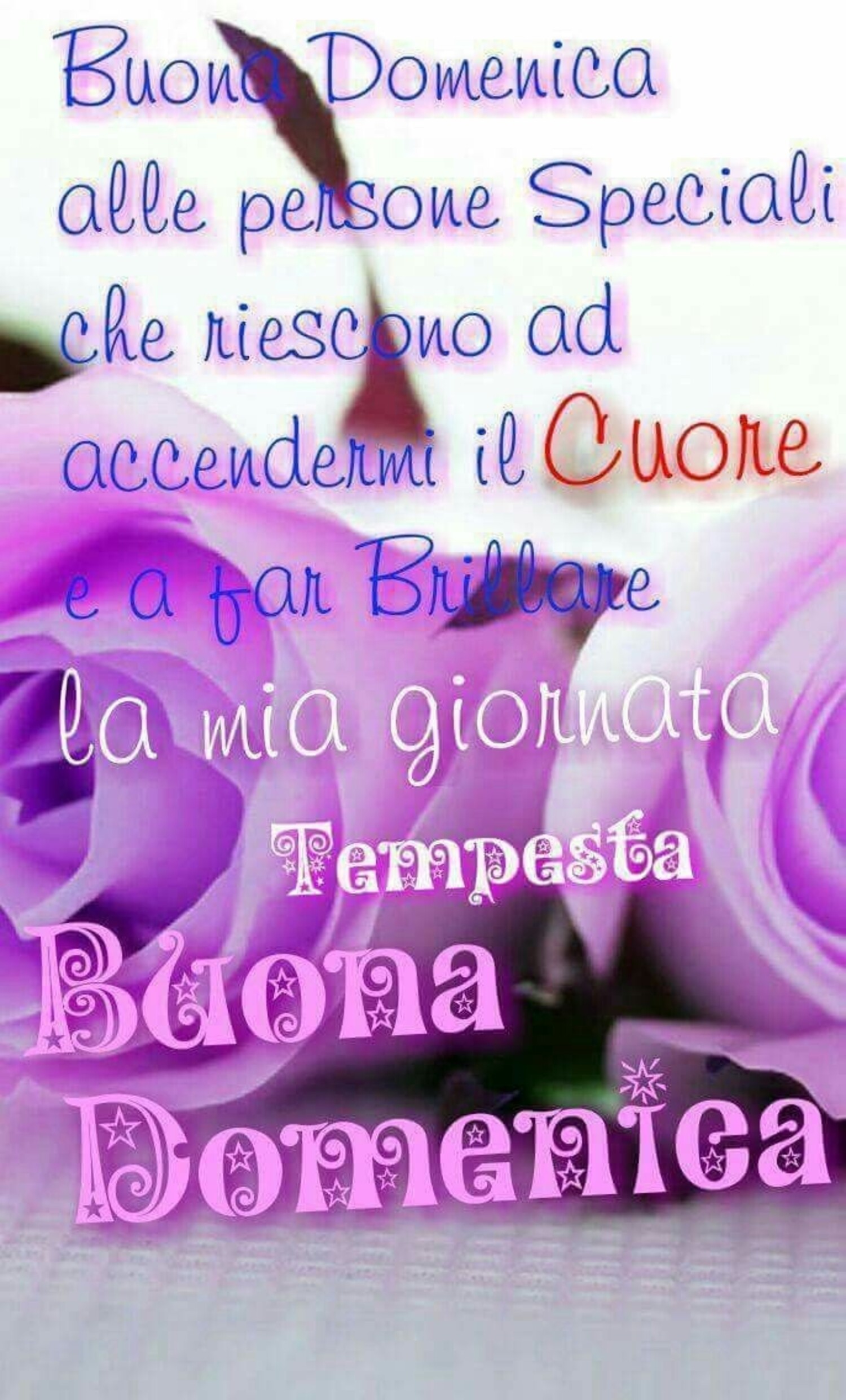 Buona domenica alle persone speciali che riescono ad accendermi il cuore e a far brillare la mia giornata! Buona Domenica