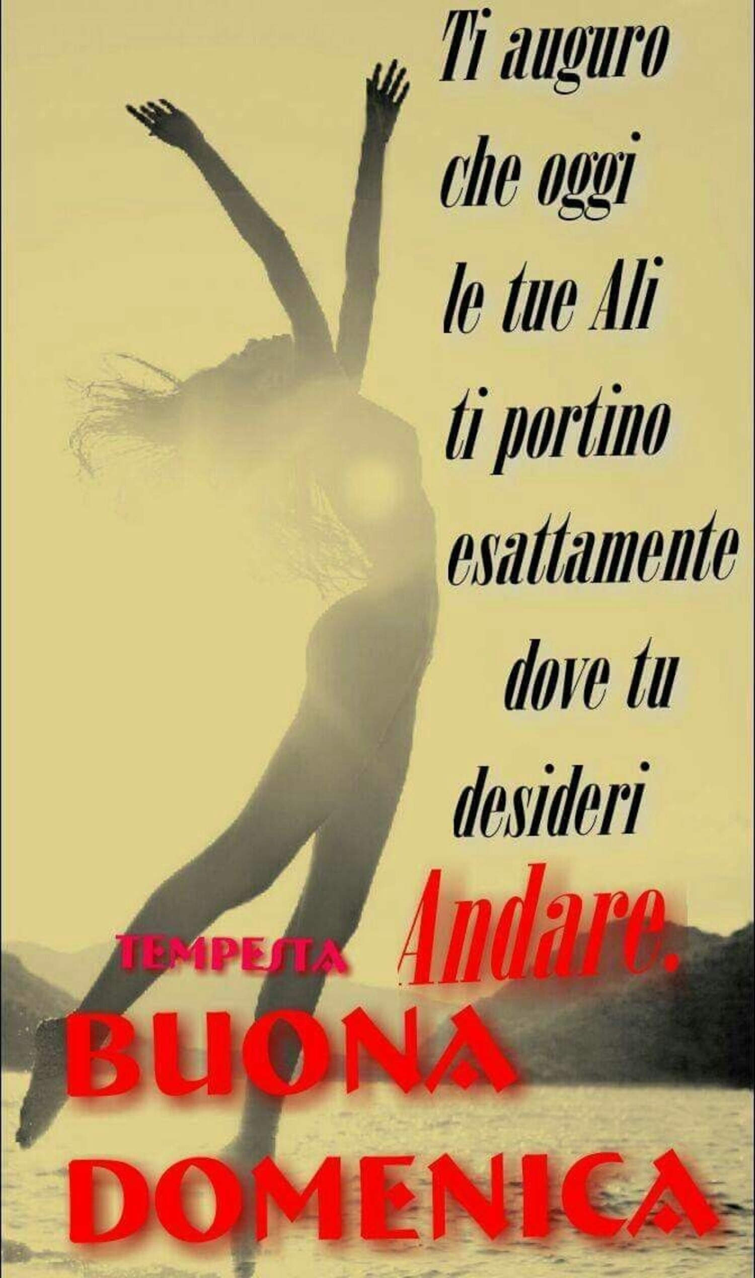 Ti auguro che oggi le tue ali ti portino esattamente dove tu desideri andare! Buona Domenica