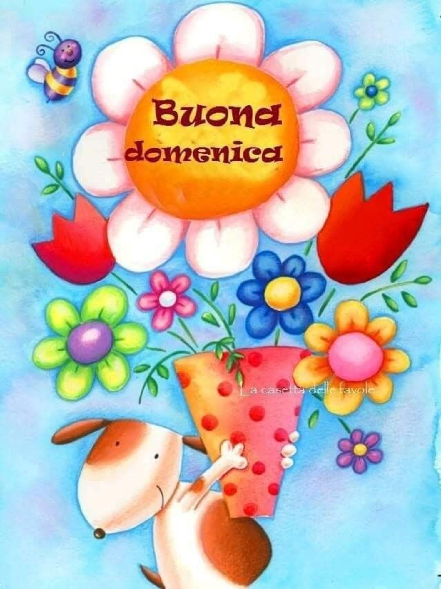 Buona Domenica